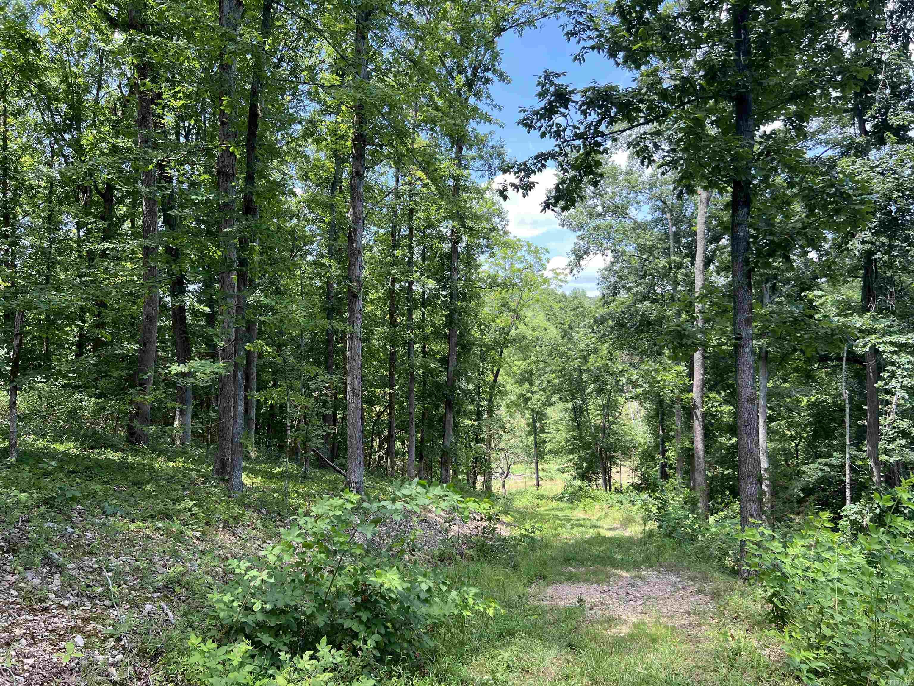1717 Grassy  Marshall, AR