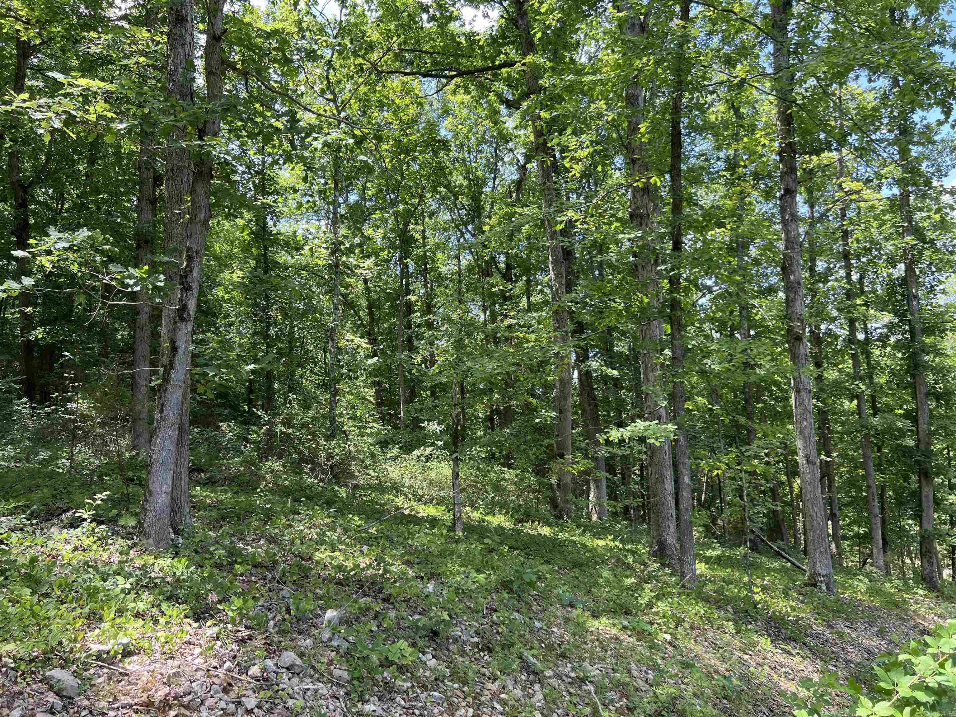 1717 Grassy  Marshall, AR