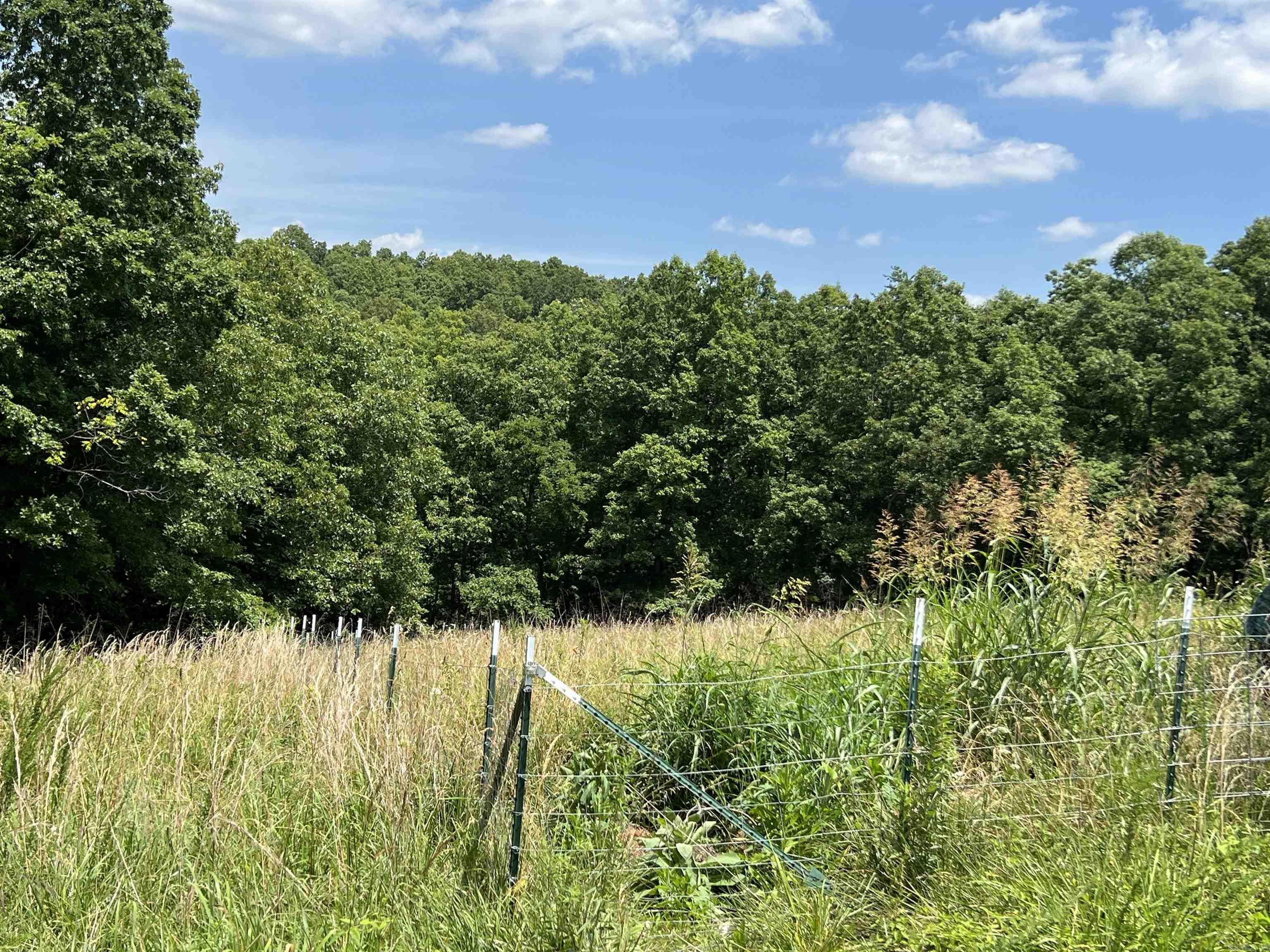 1717 Grassy  Marshall, AR