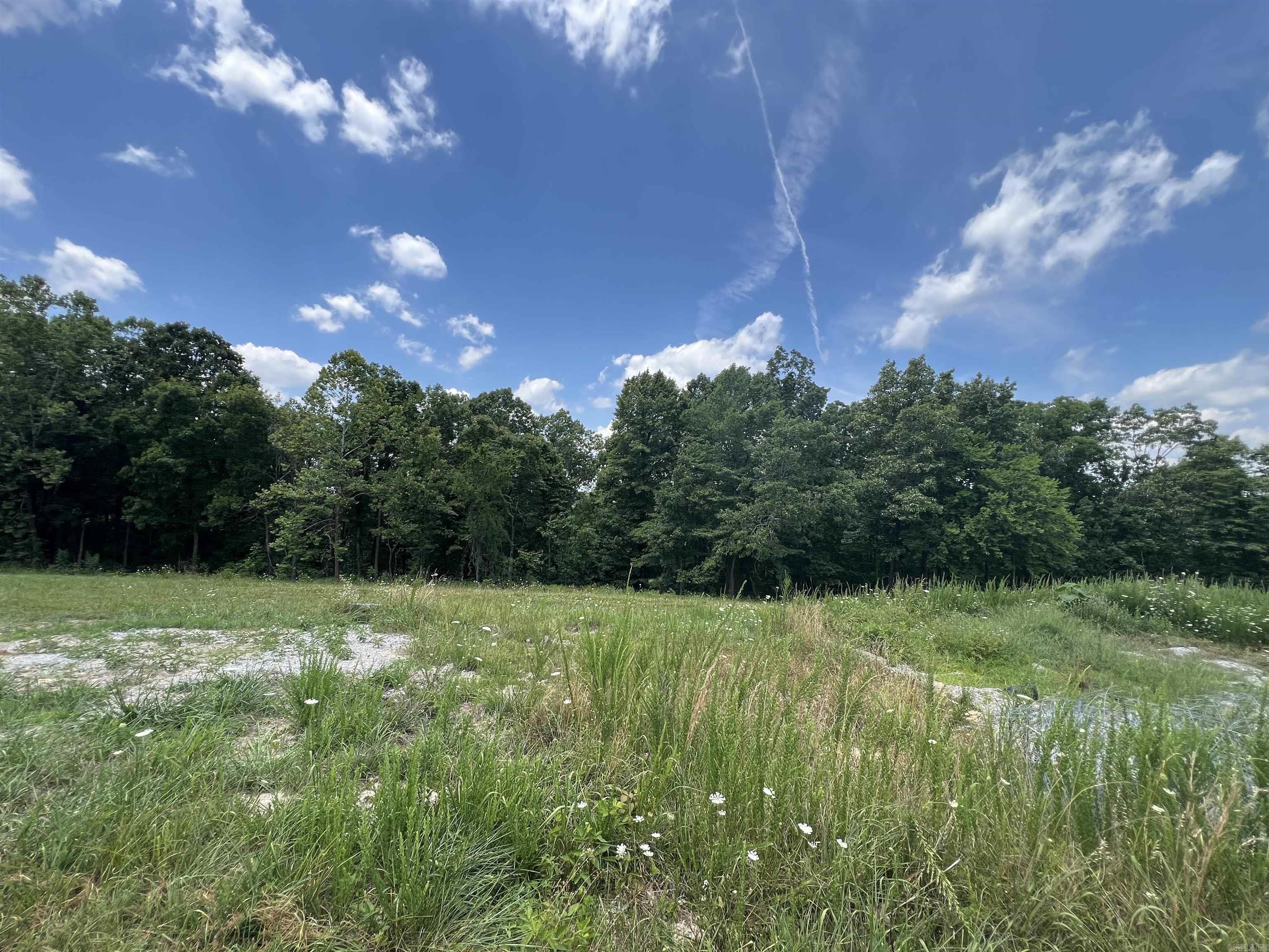 1717 Grassy  Marshall, AR