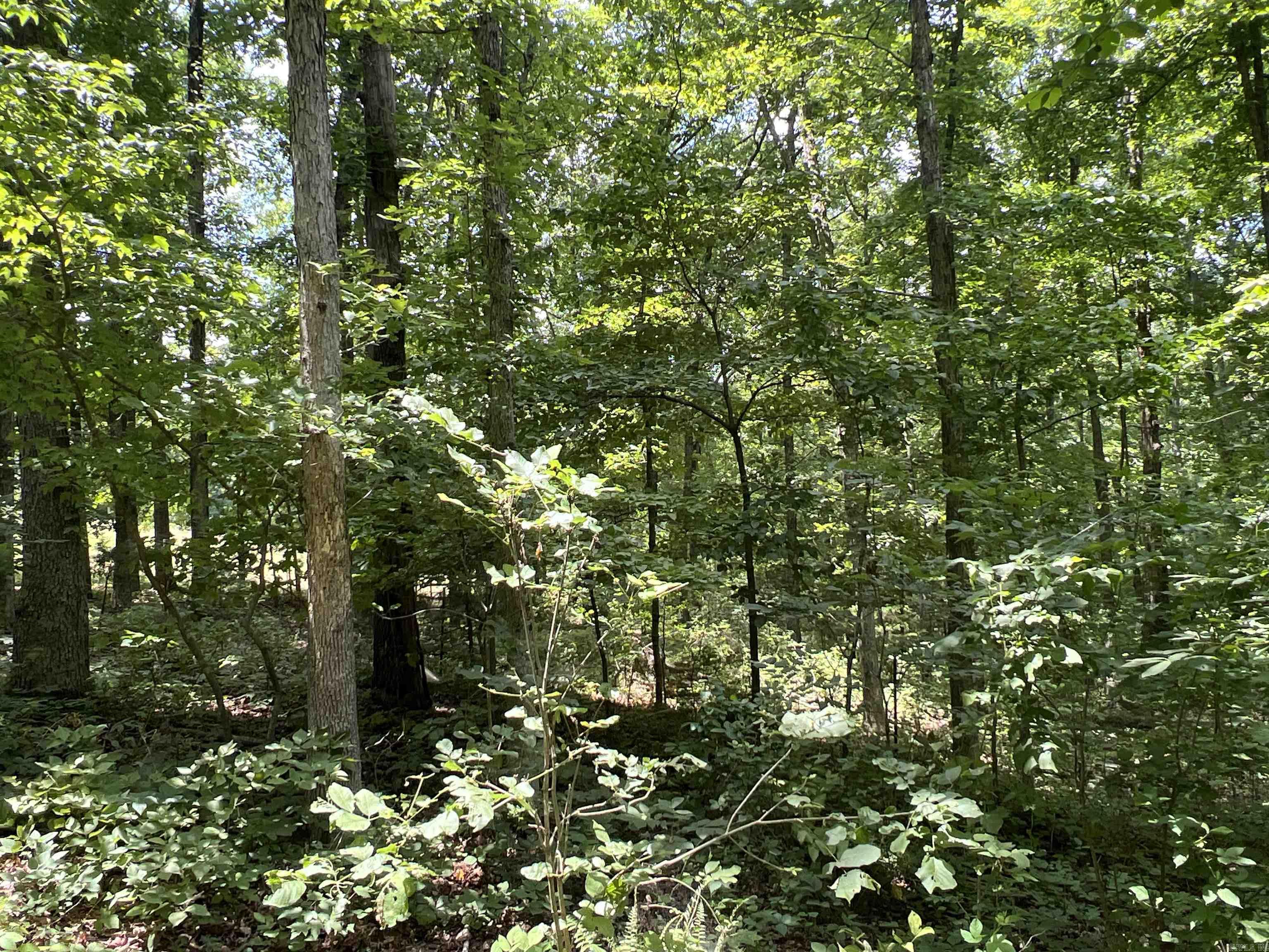1717 Grassy  Marshall, AR