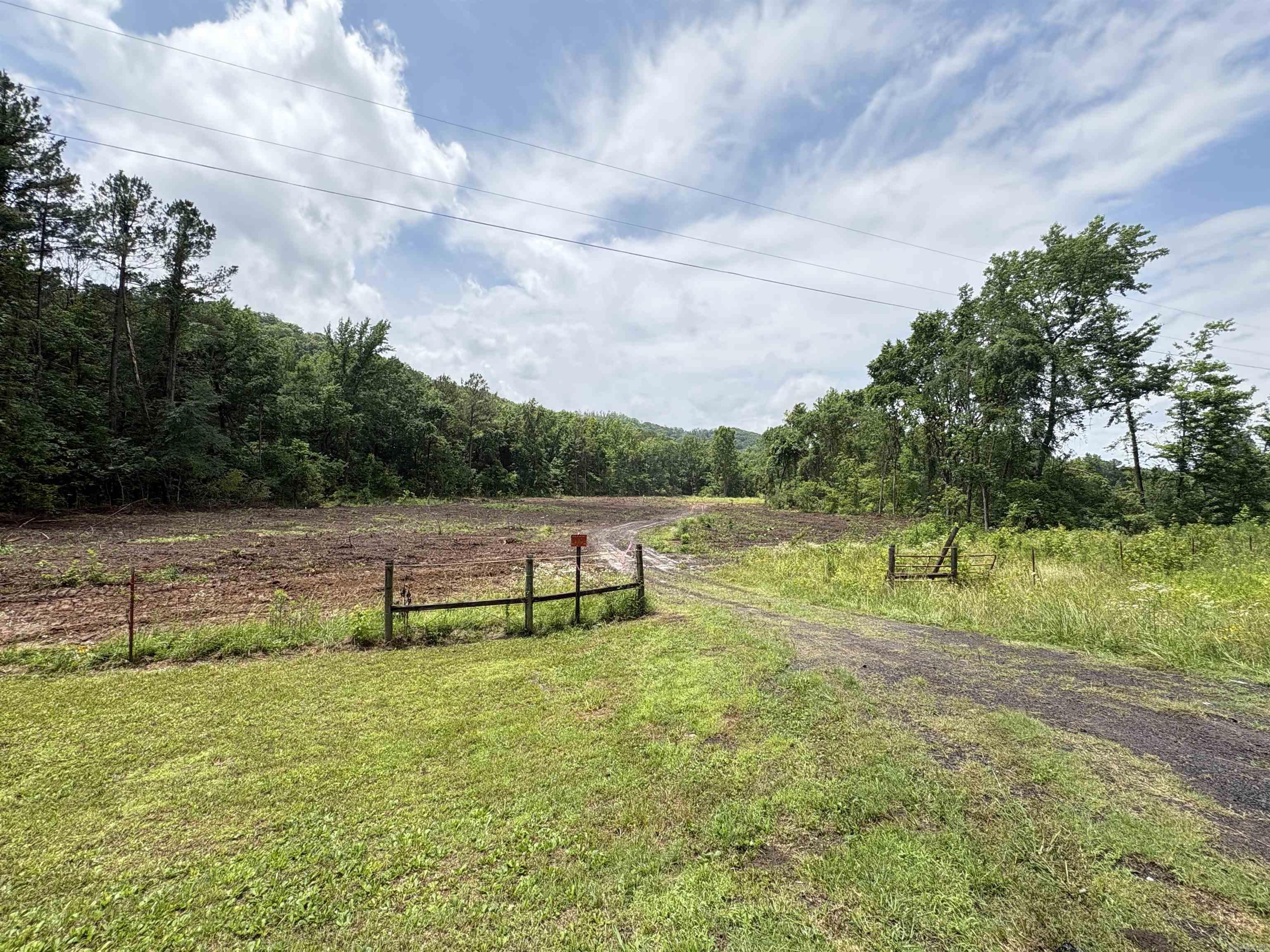 50.65 acres off SR 164 W  Dover, AR