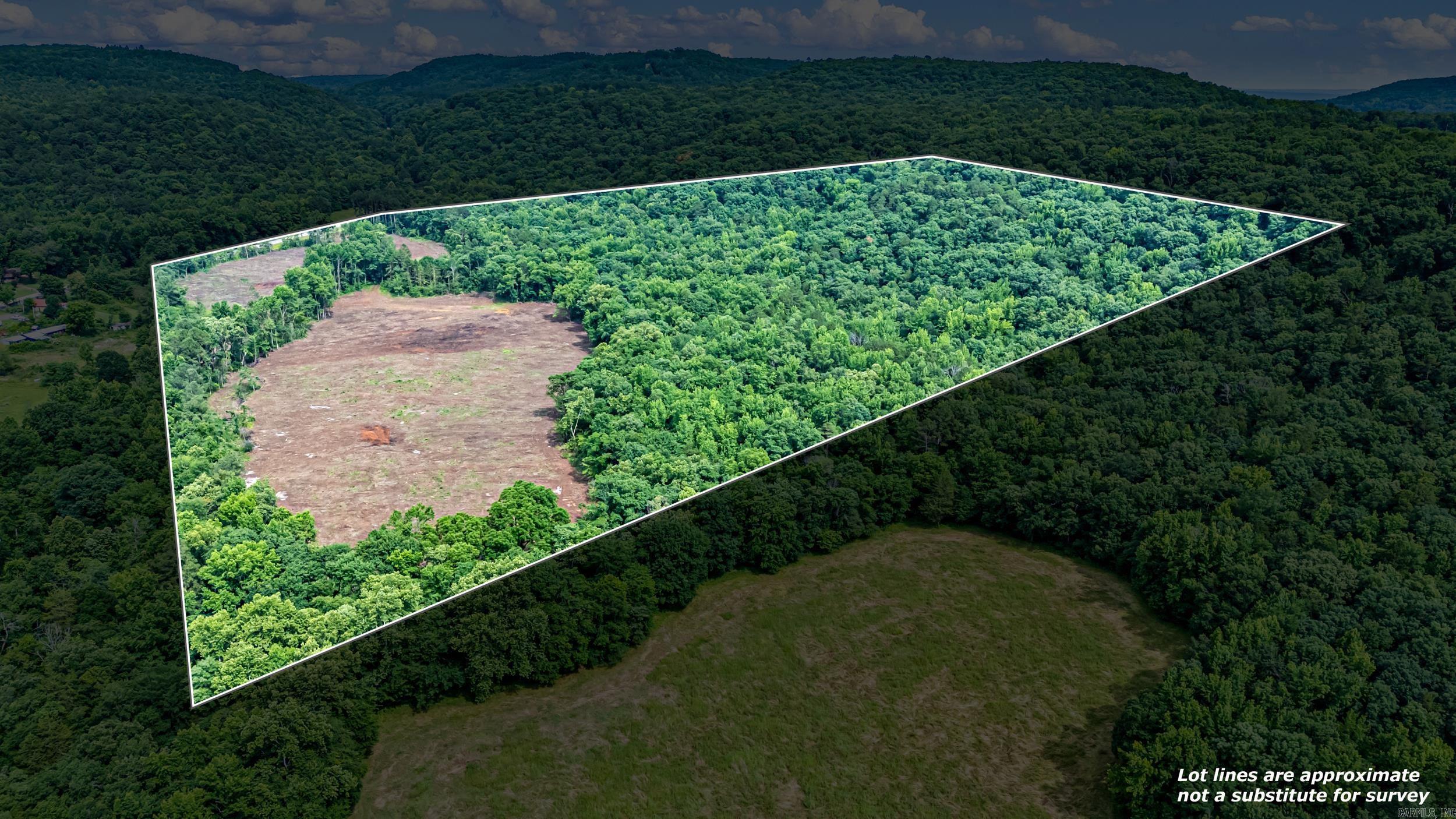50.65 acres off SR 164 W  Dover, AR