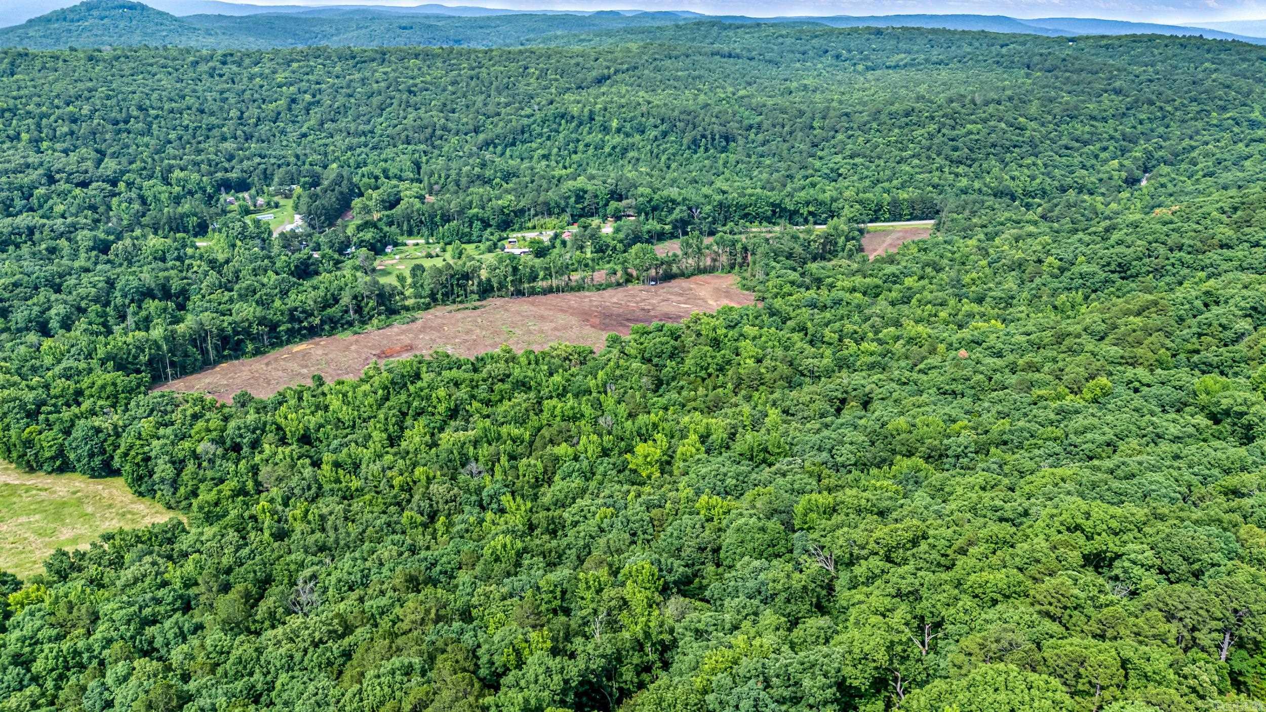 50.65 acres off SR 164 W  Dover, AR
