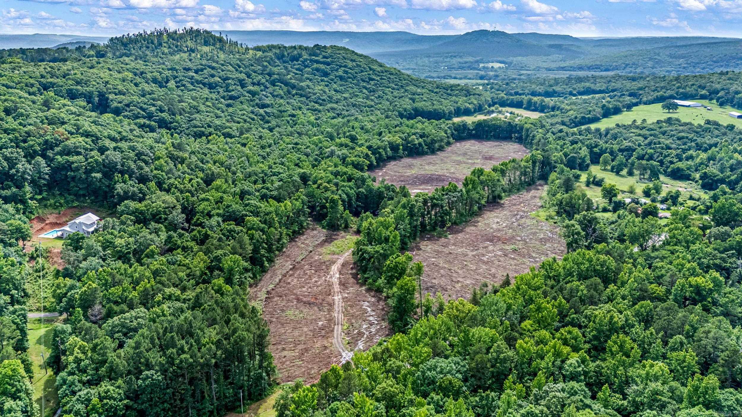 50.65 acres off SR 164 W  Dover, AR
