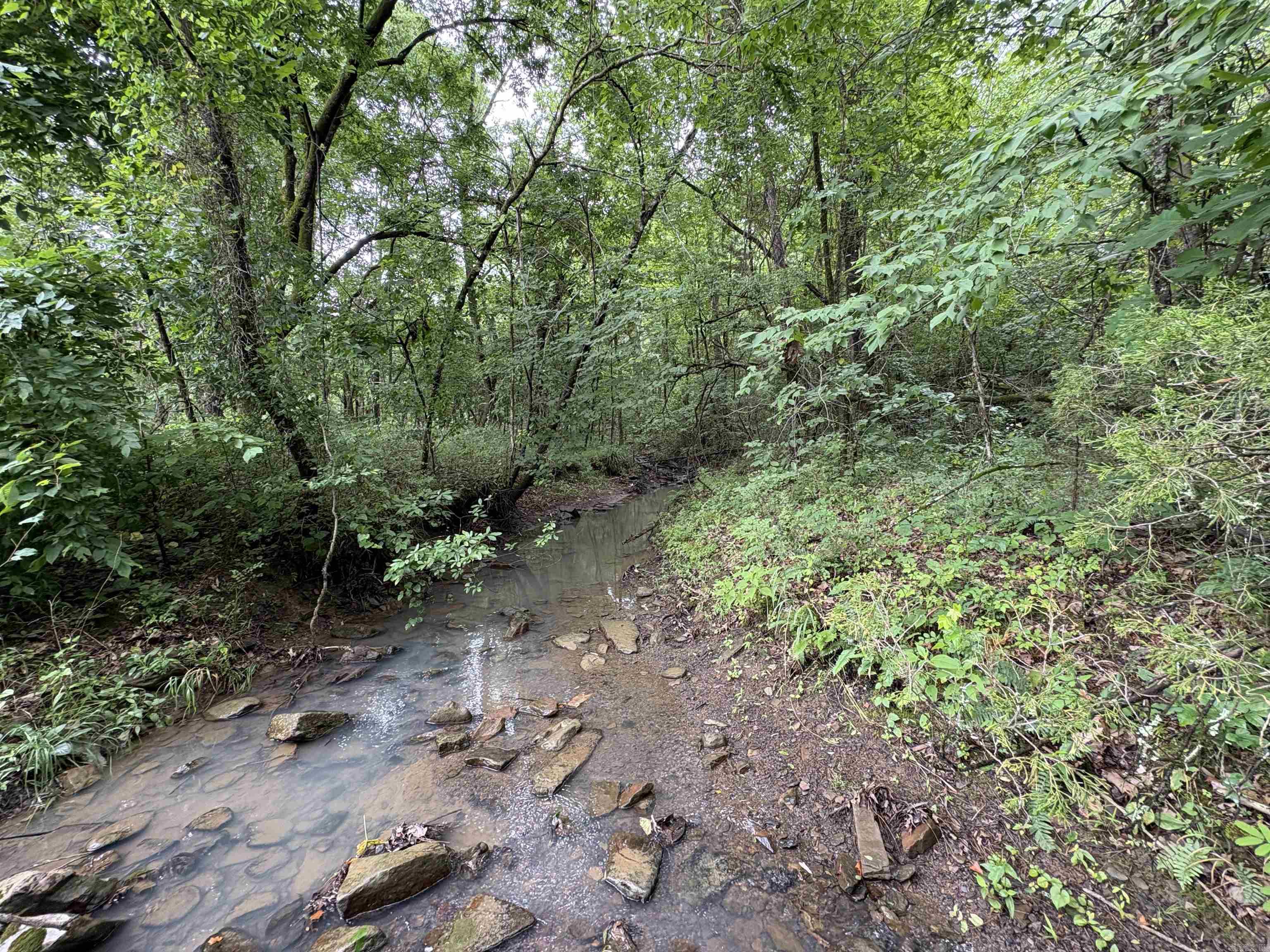 50.65 acres off SR 164 W  Dover, AR