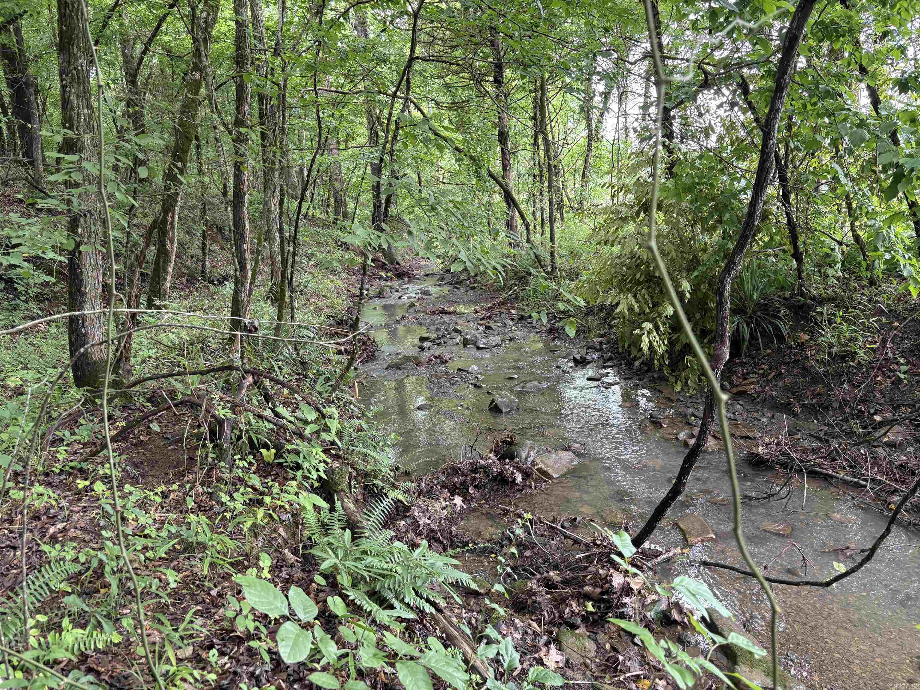 50.65 acres off SR 164 W  Dover, AR