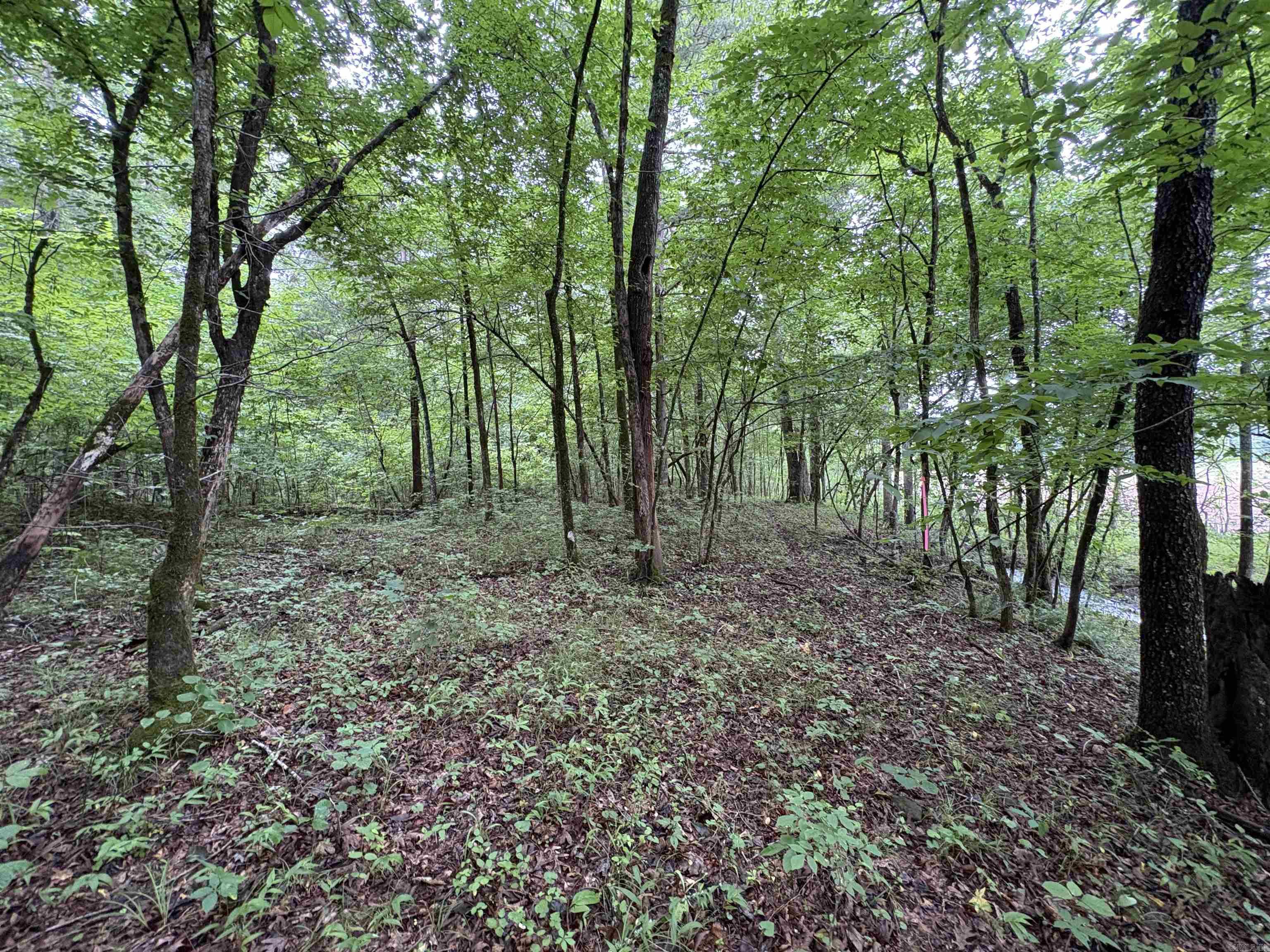 50.65 acres off SR 164 W  Dover, AR