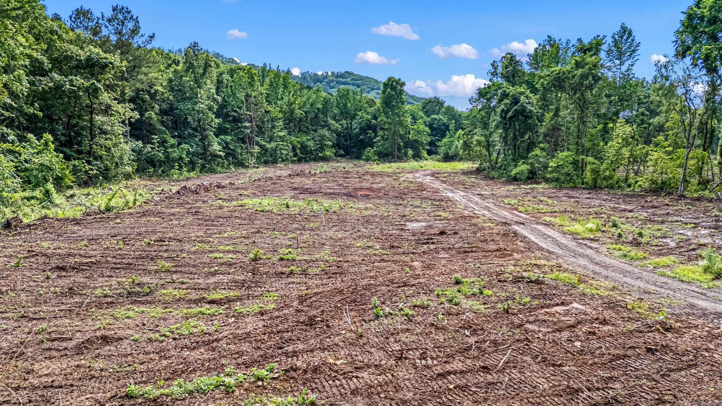 50.65 acres off SR 164 W  Dover, AR