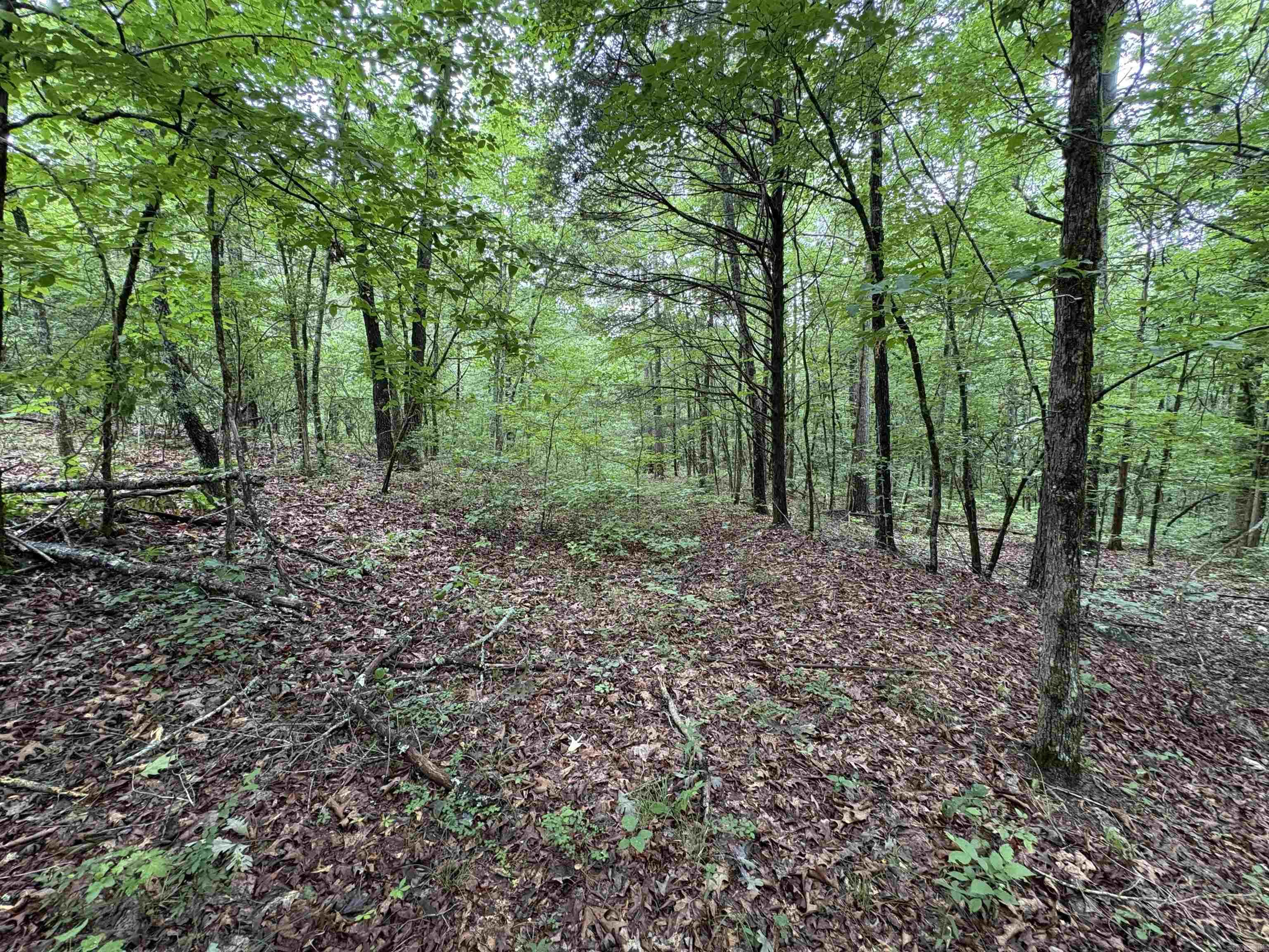 50.65 acres off SR 164 W  Dover, AR