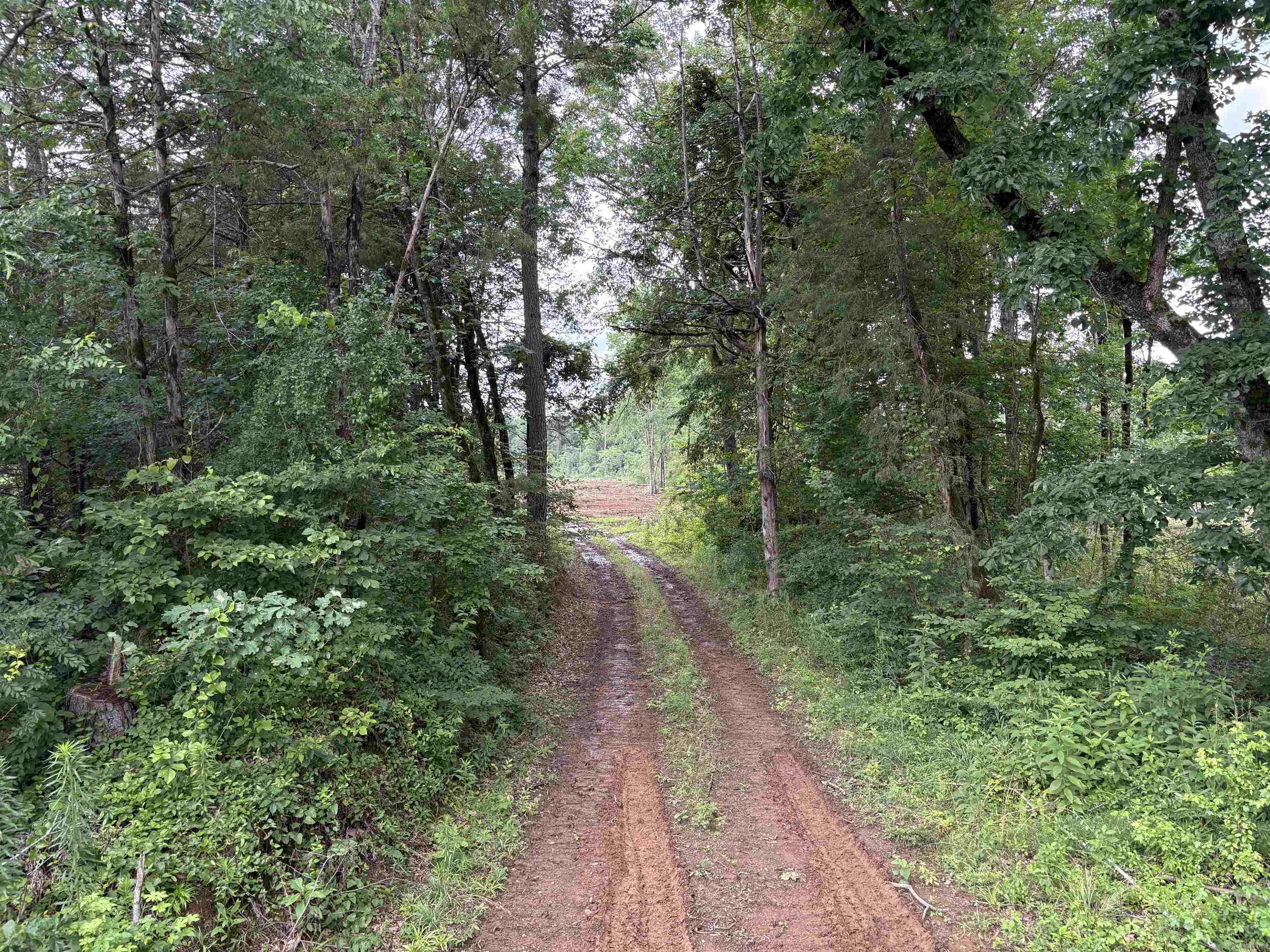 50.65 acres off SR 164 W  Dover, AR
