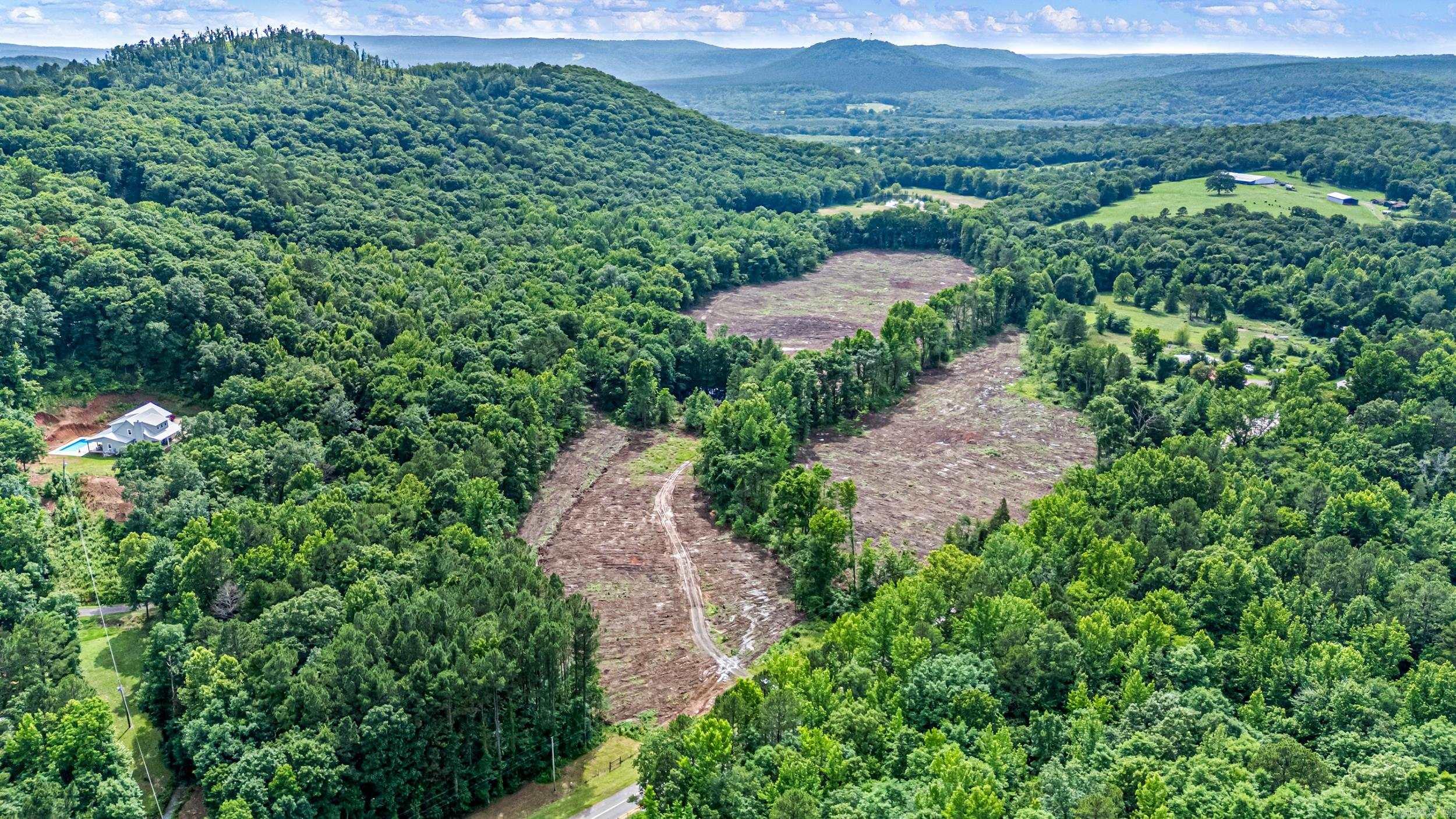 50.65 acres off SR 164 W  Dover, AR