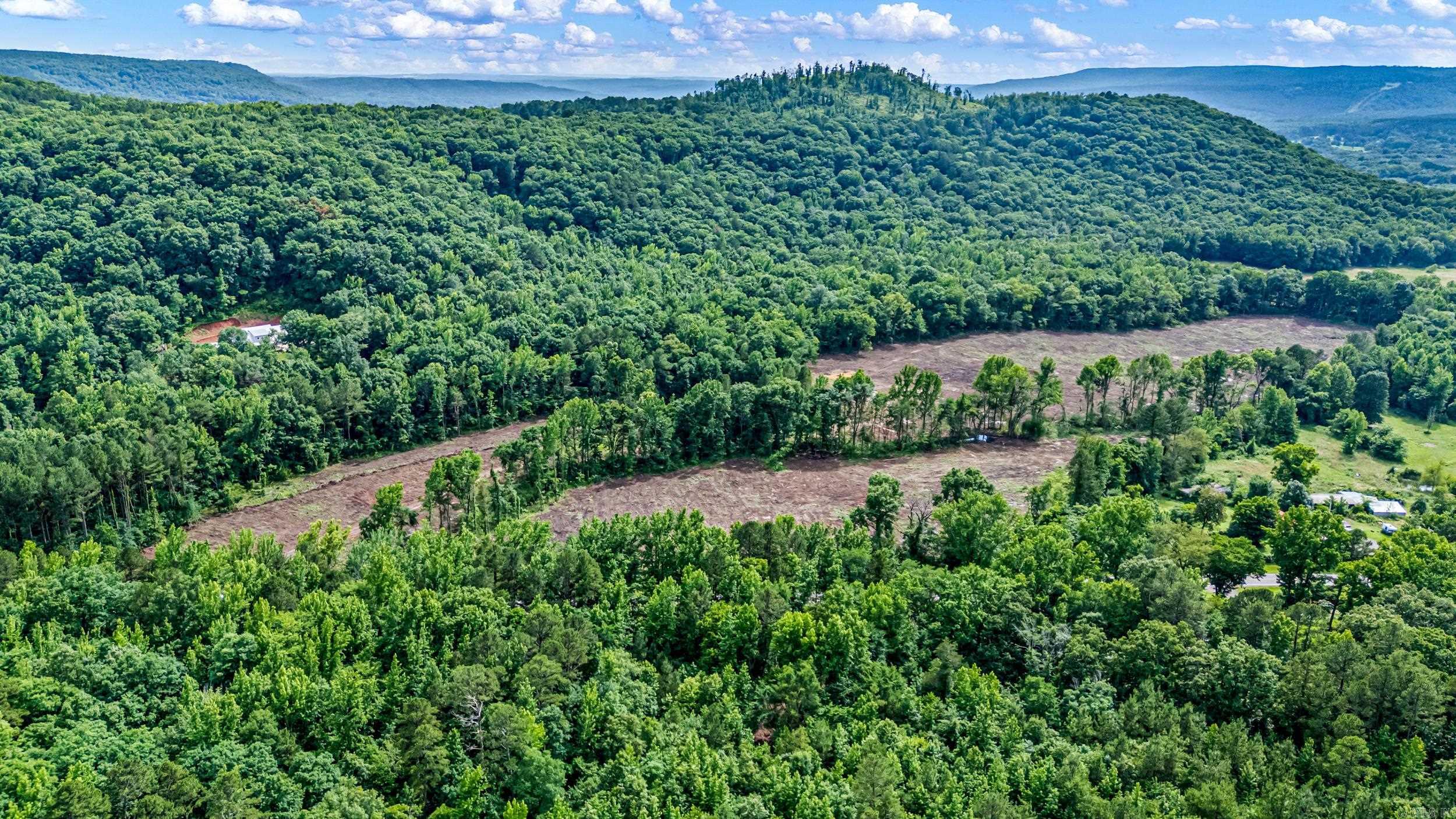 50.65 acres off SR 164 W  Dover, AR