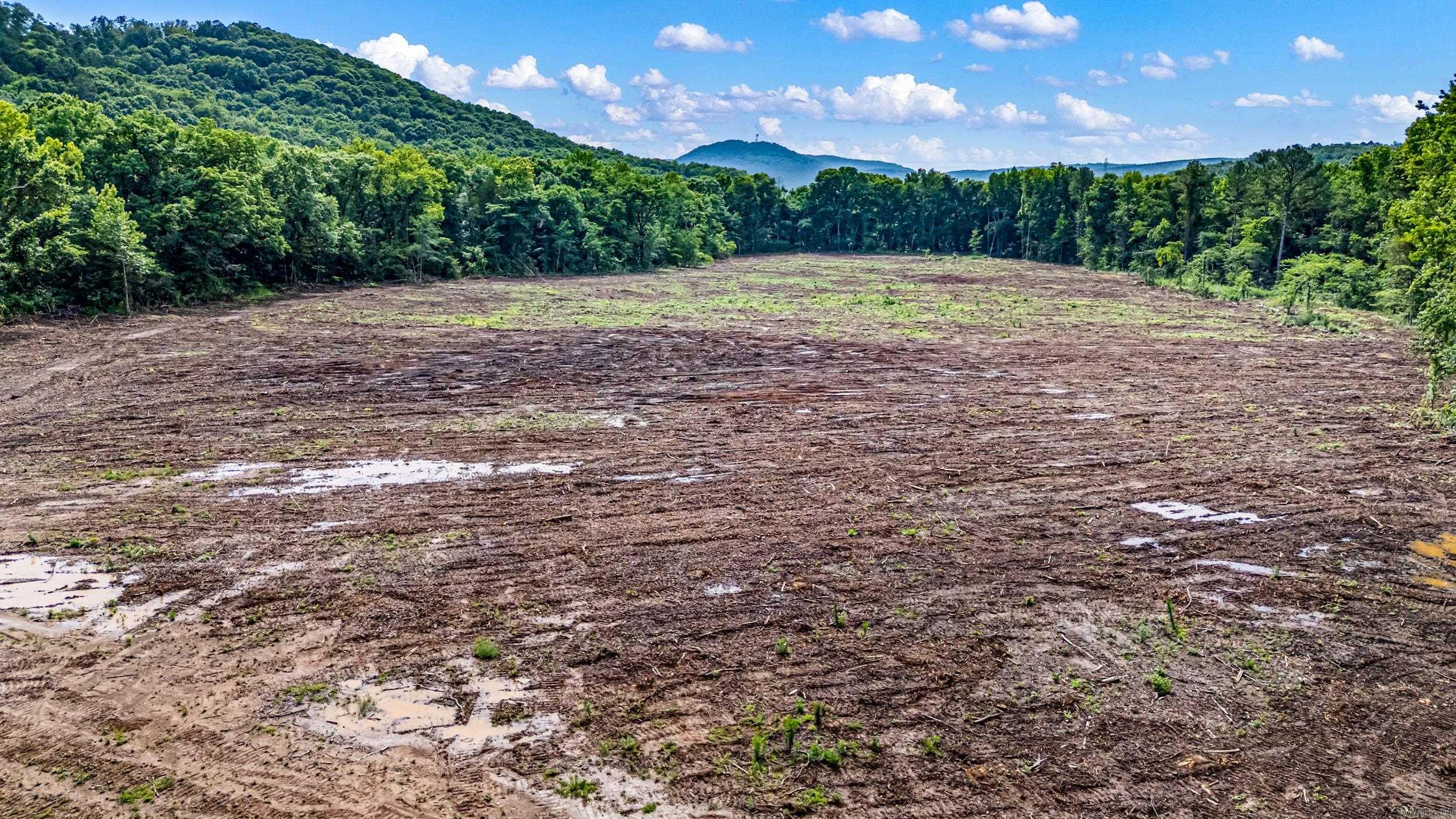 50.65 acres off SR 164 W  Dover, AR