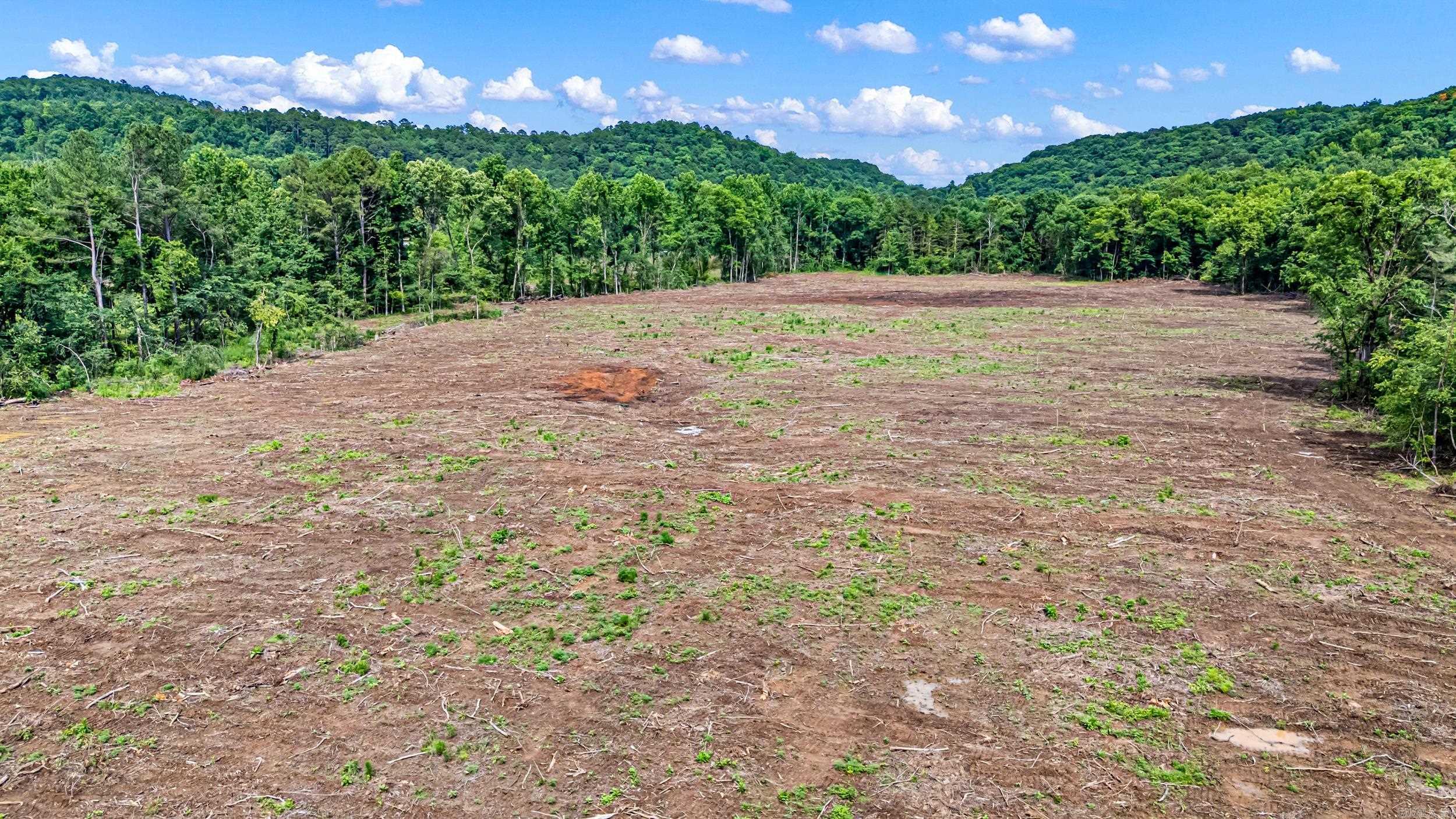 50.65 acres off SR 164 W  Dover, AR