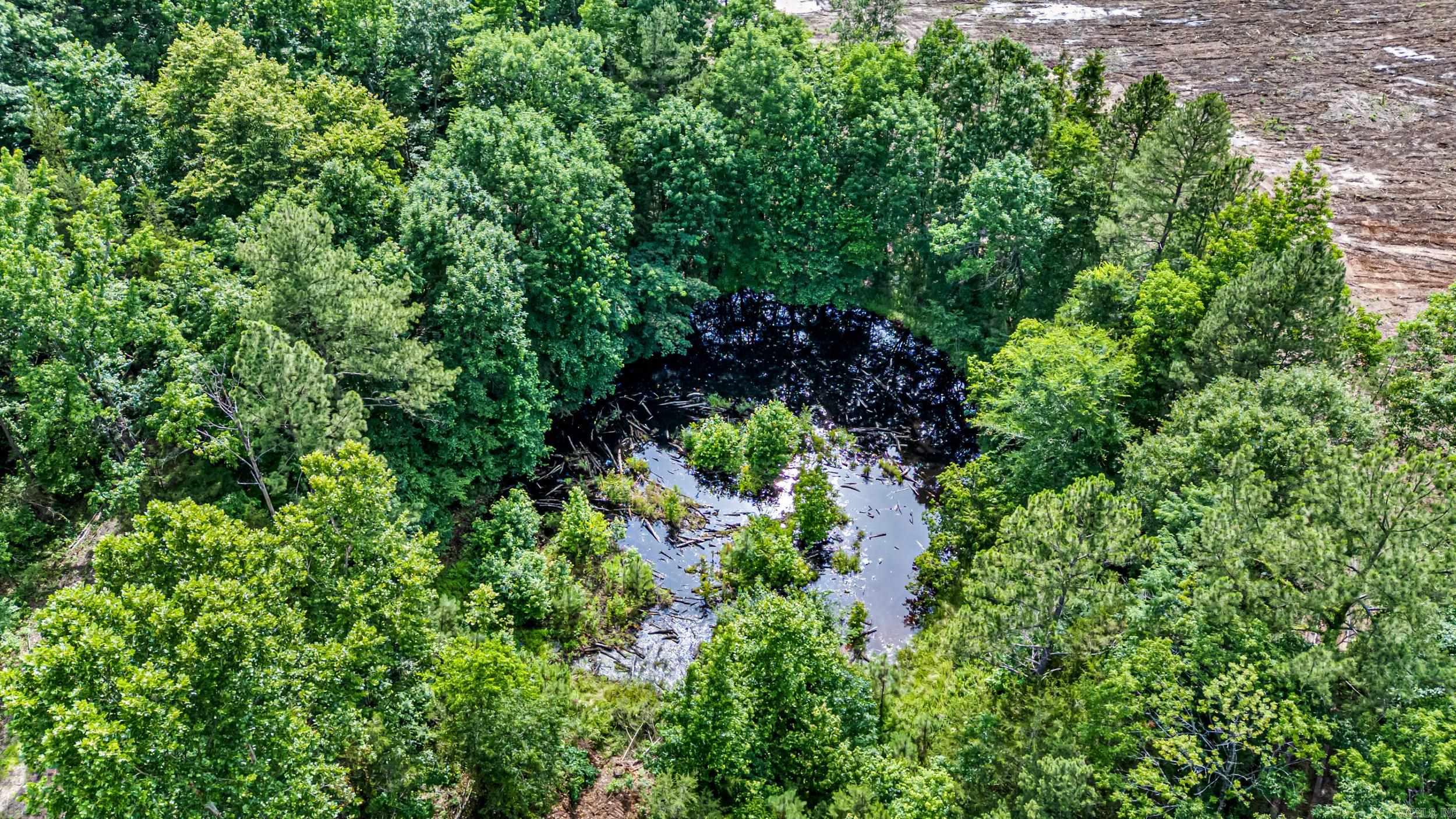50.65 acres off SR 164 W  Dover, AR
