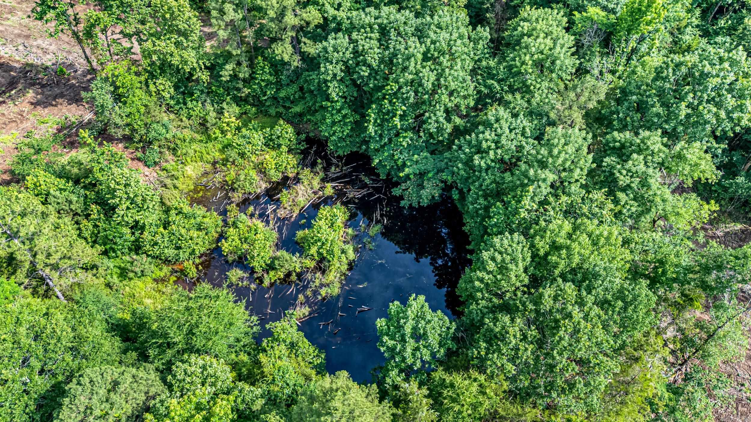 50.65 acres off SR 164 W  Dover, AR