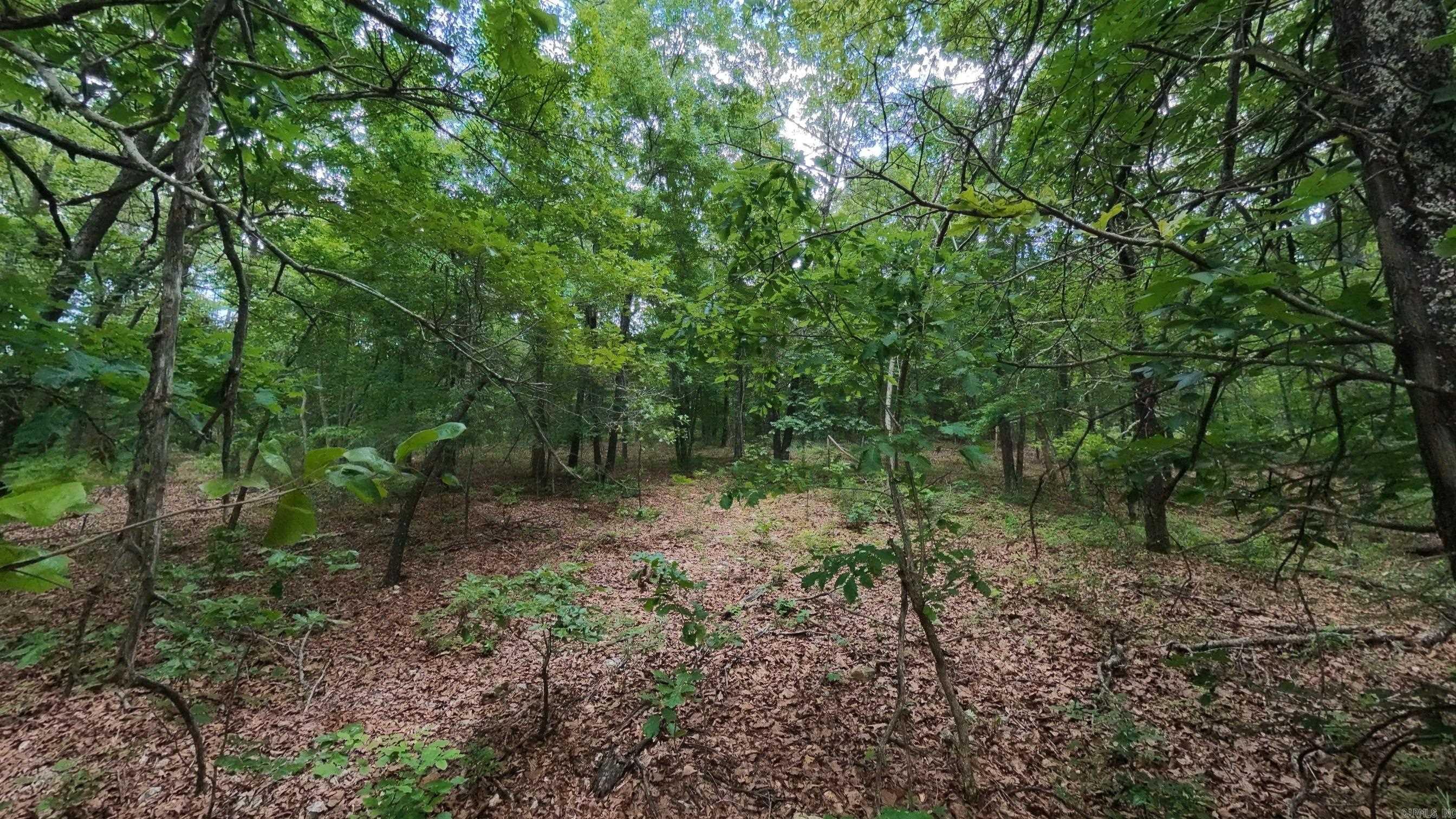 000 N Camp Creek  Mammoth Spring, AR
