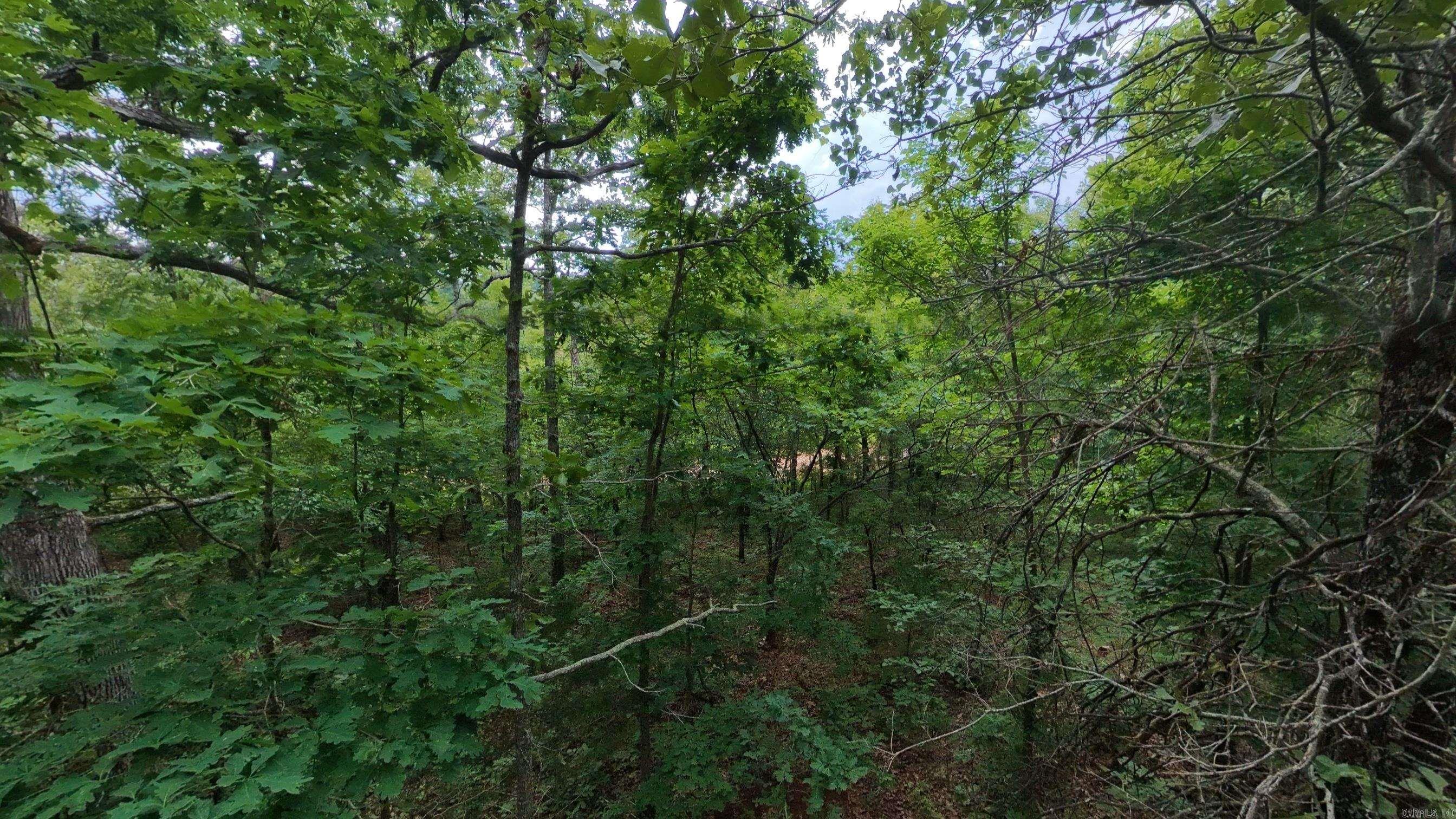 000 N Camp Creek  Mammoth Spring, AR