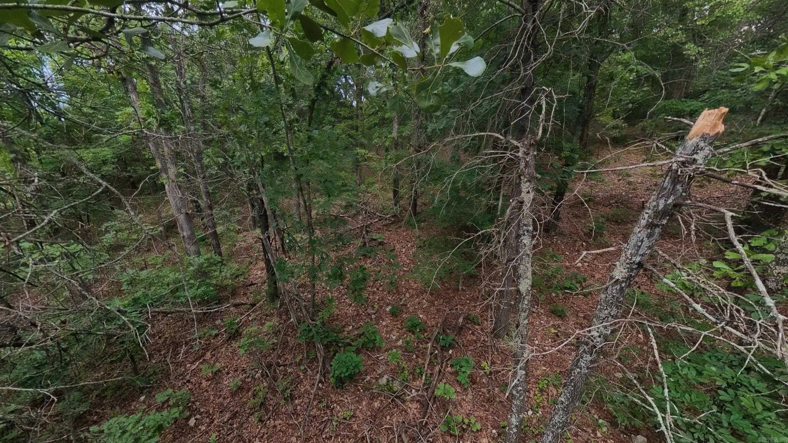 000 N Camp Creek  Mammoth Spring, AR