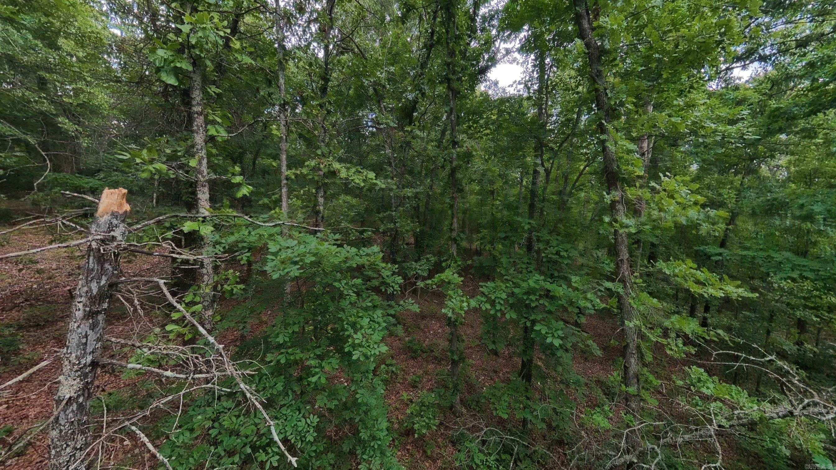 000 N Camp Creek  Mammoth Spring, AR
