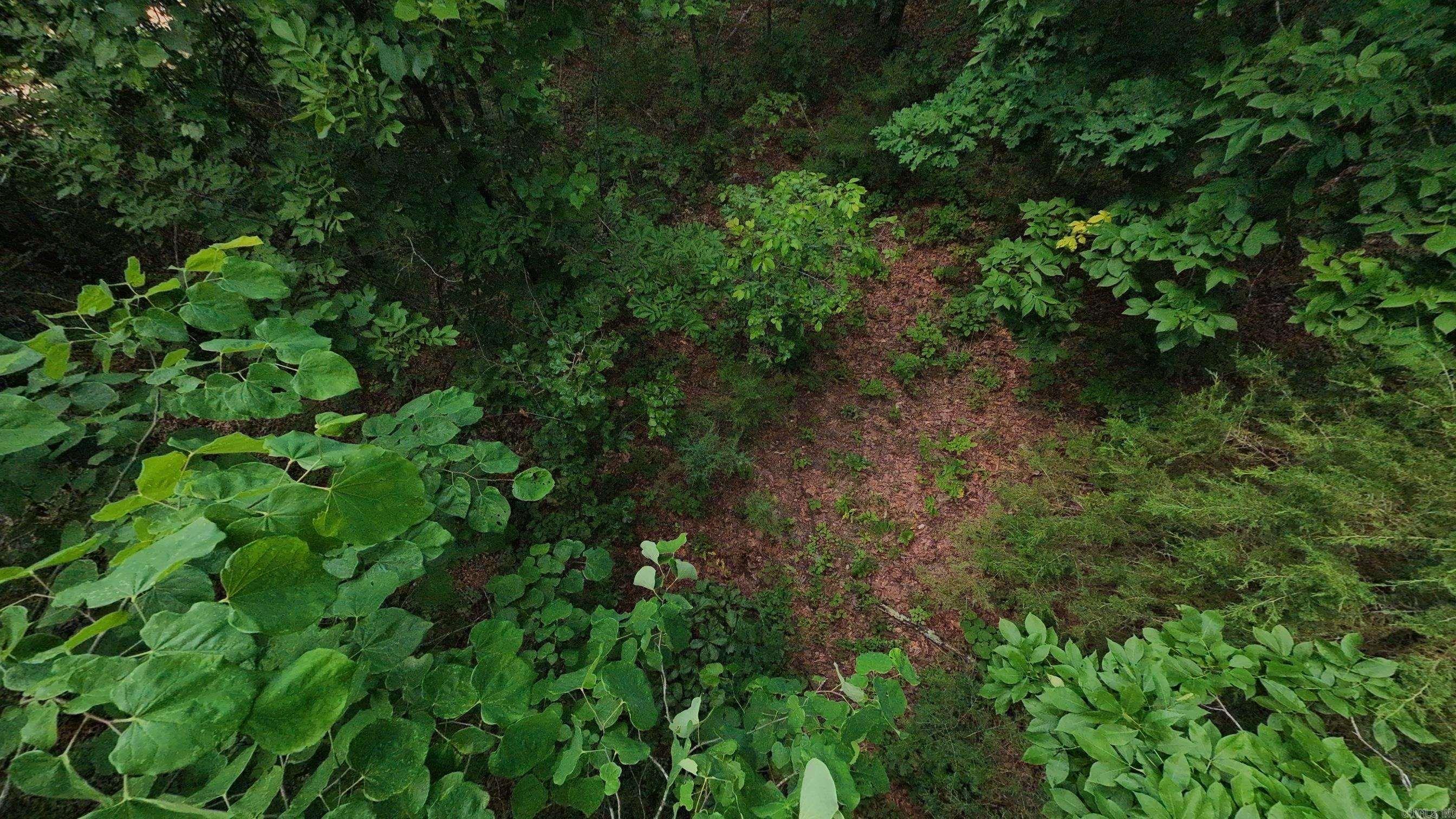 000 N Camp Creek  Mammoth Spring, AR