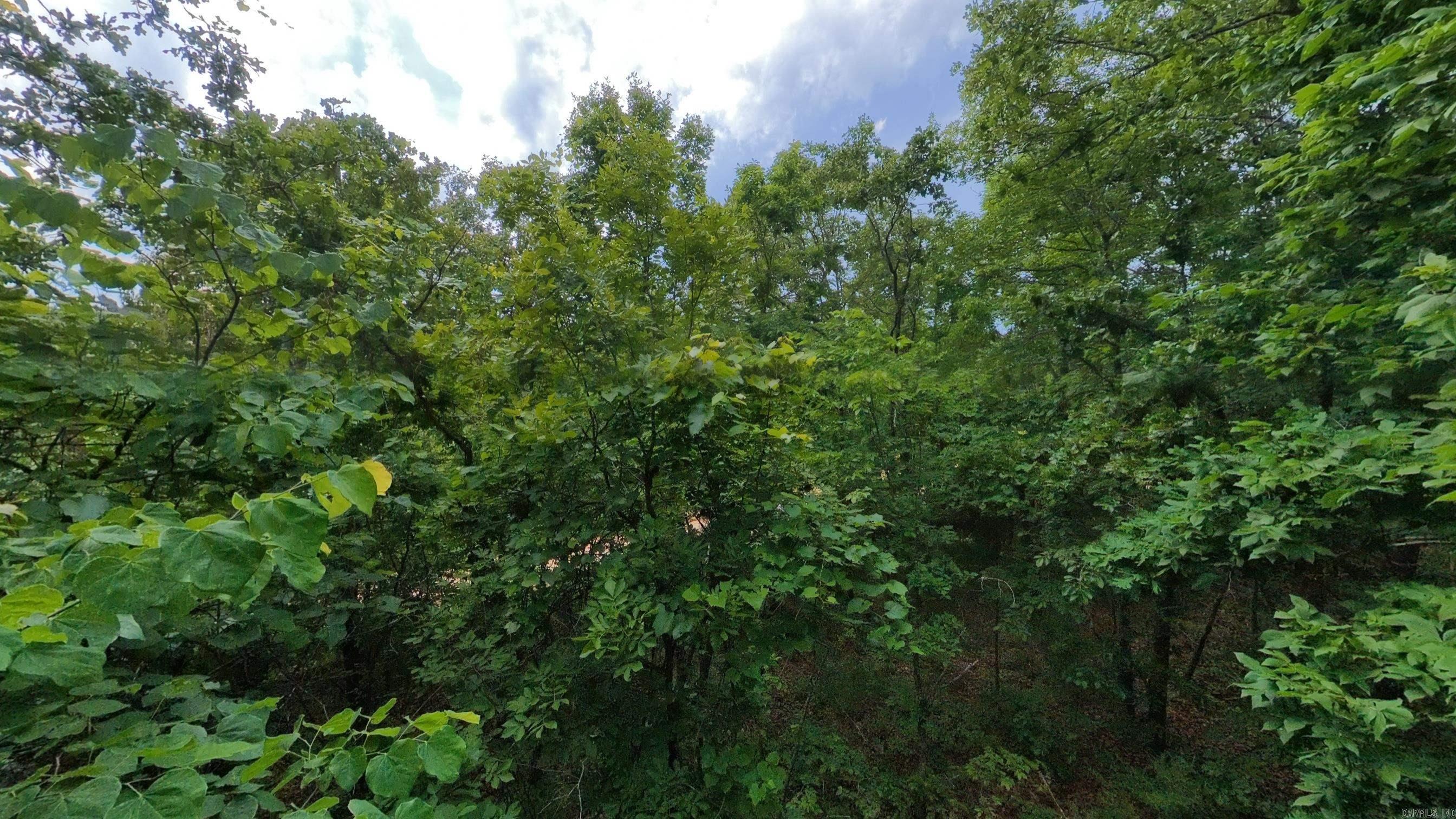 000 N Camp Creek  Mammoth Spring, AR