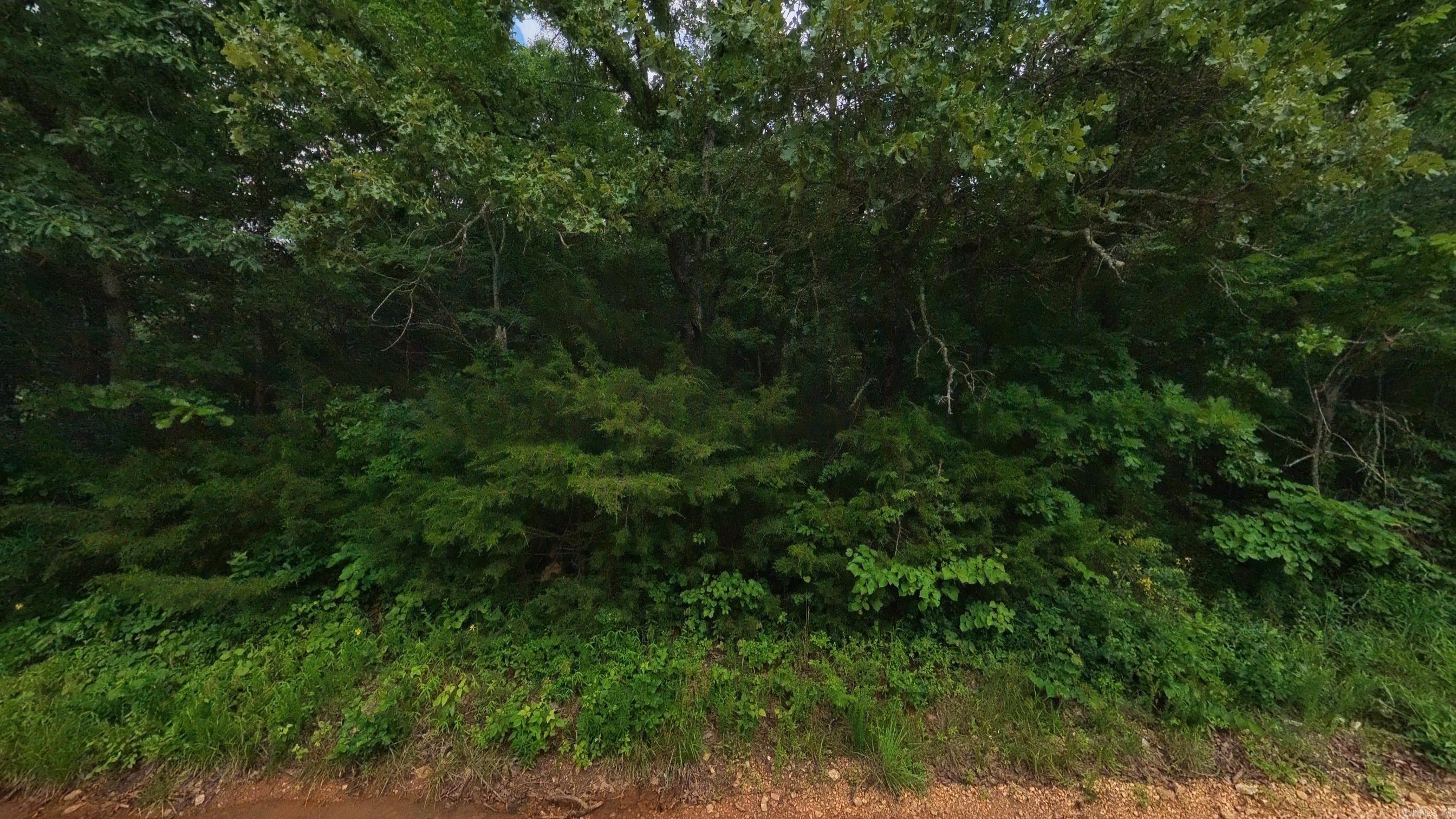 000 N Camp Creek  Mammoth Spring, AR