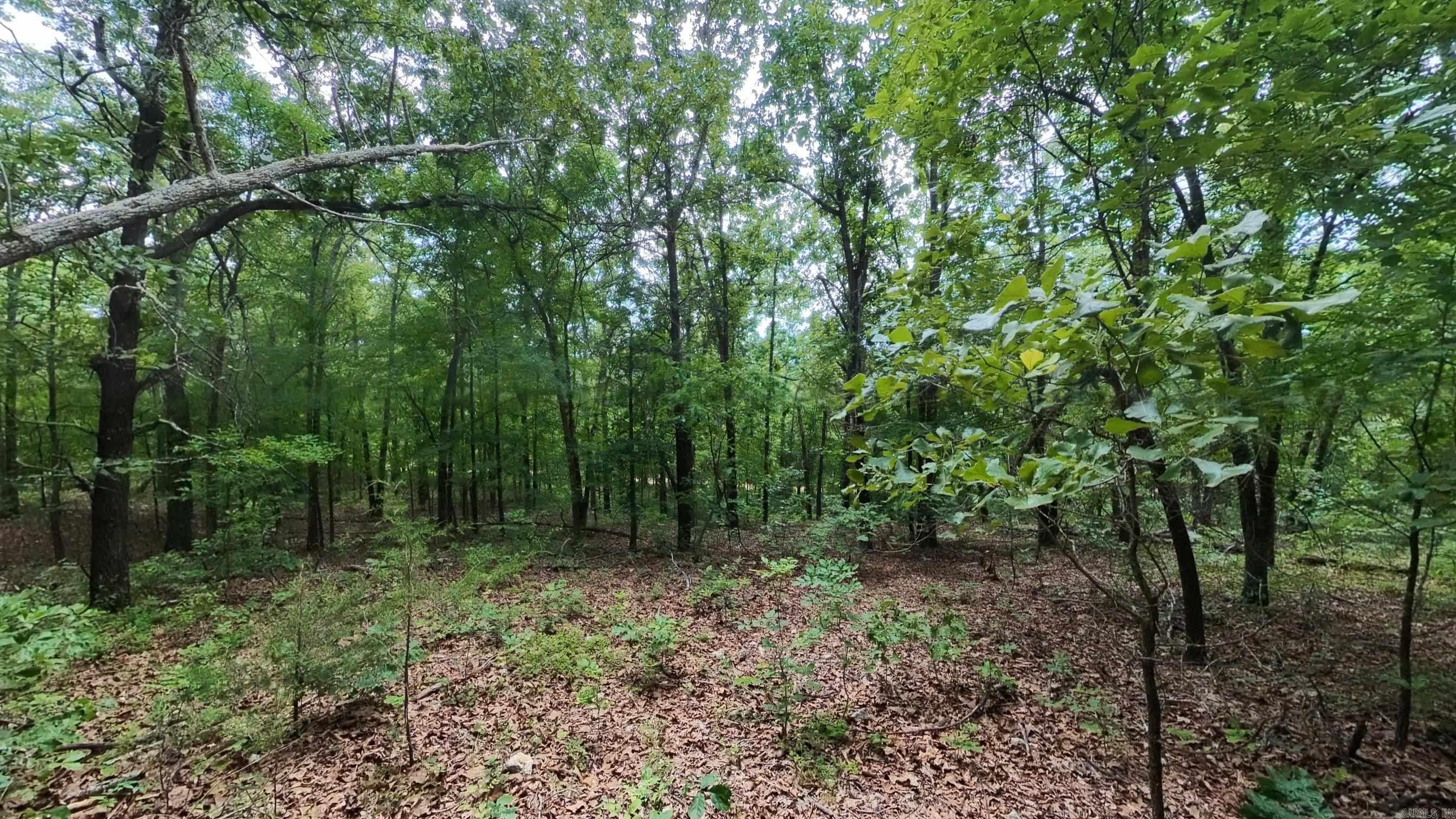 000 N Camp Creek  Mammoth Spring, AR