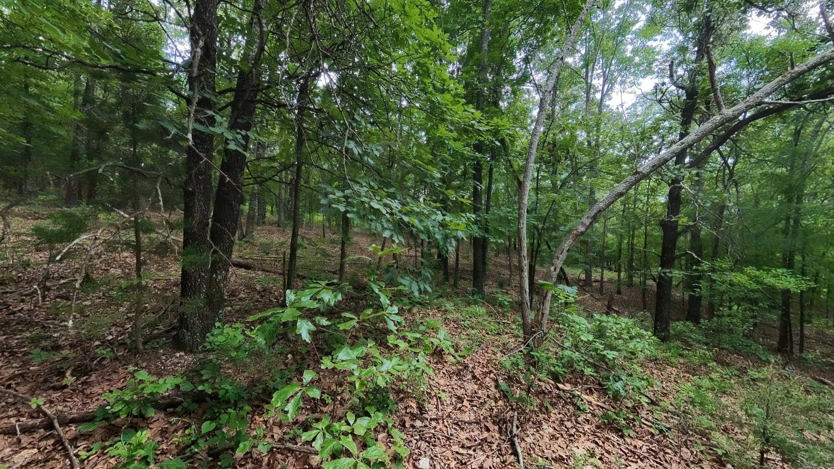 000 N Camp Creek  Mammoth Spring, AR