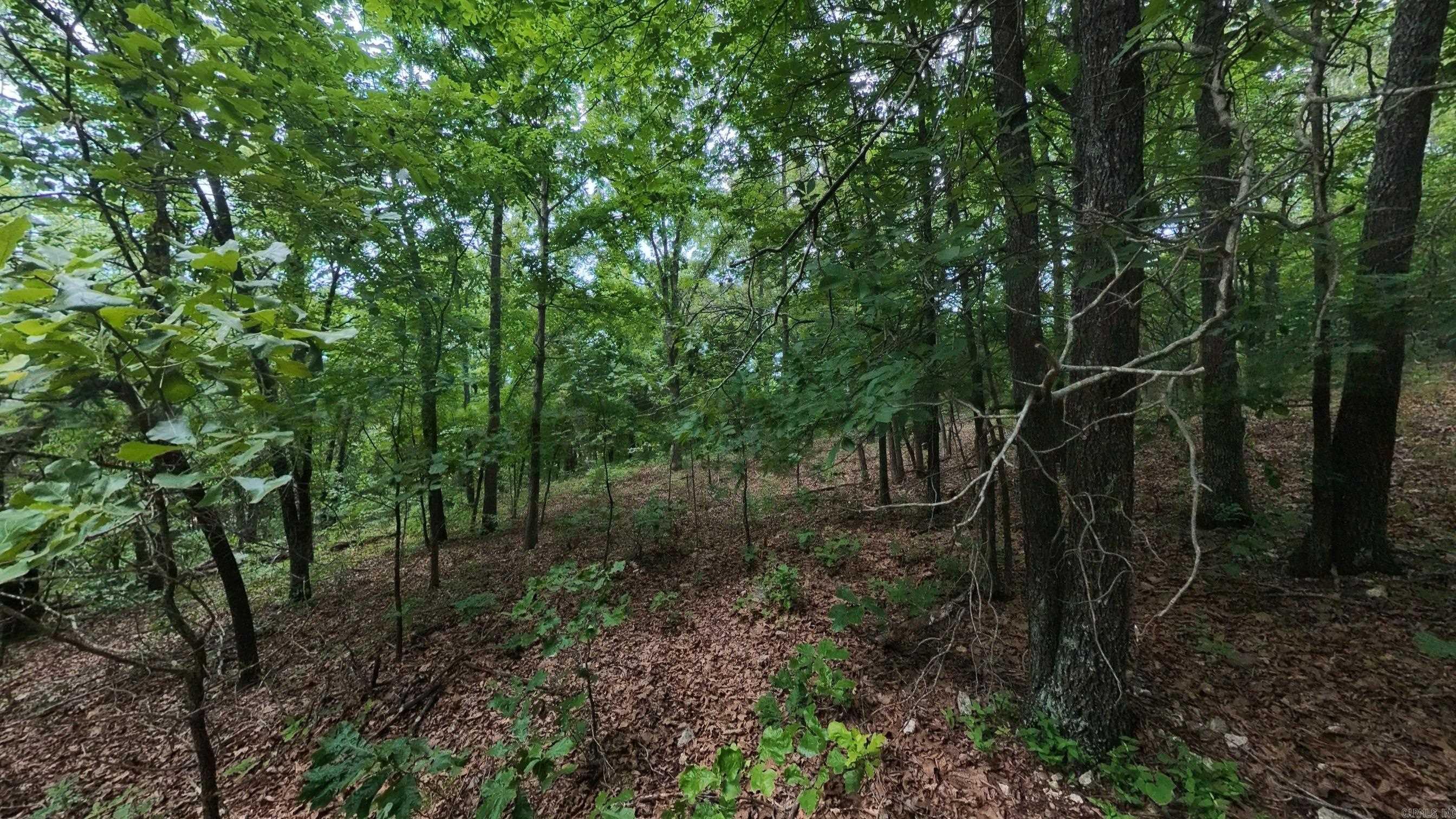 000 N Camp Creek  Mammoth Spring, AR