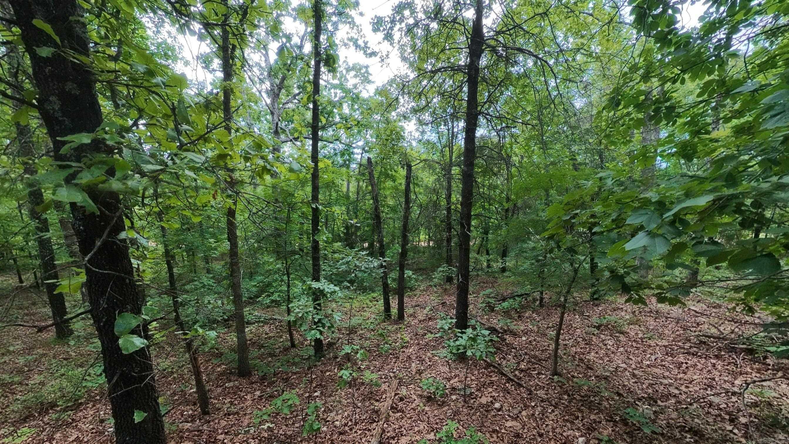 000 N Camp Creek  Mammoth Spring, AR