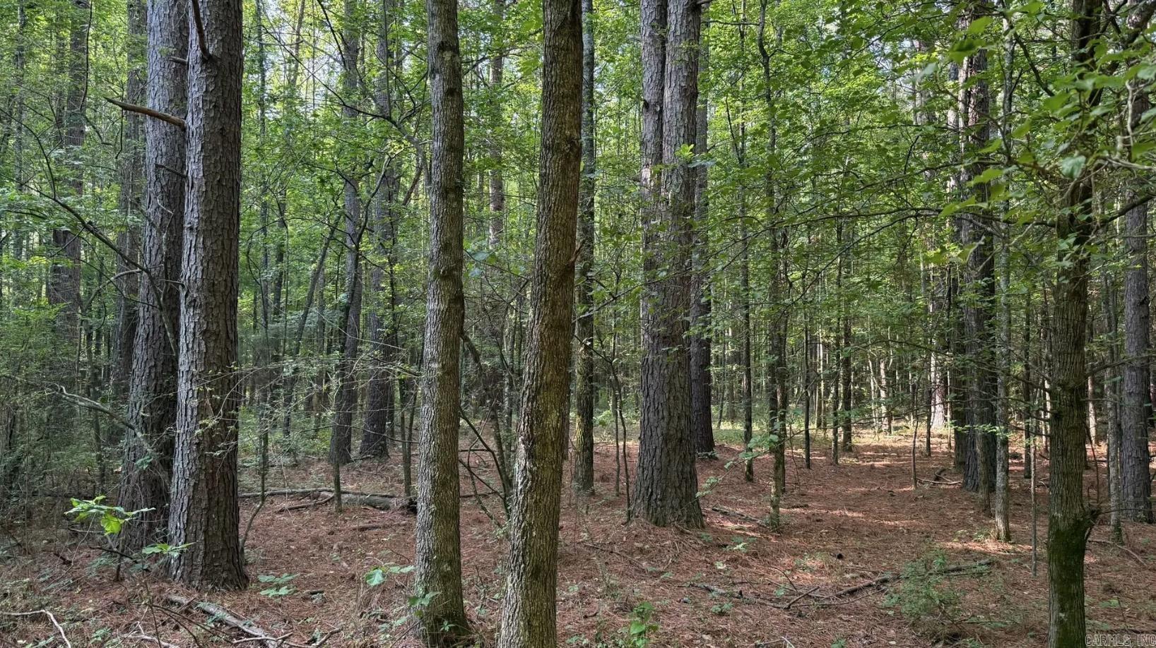 2212 Graham  Jacksonville, AR