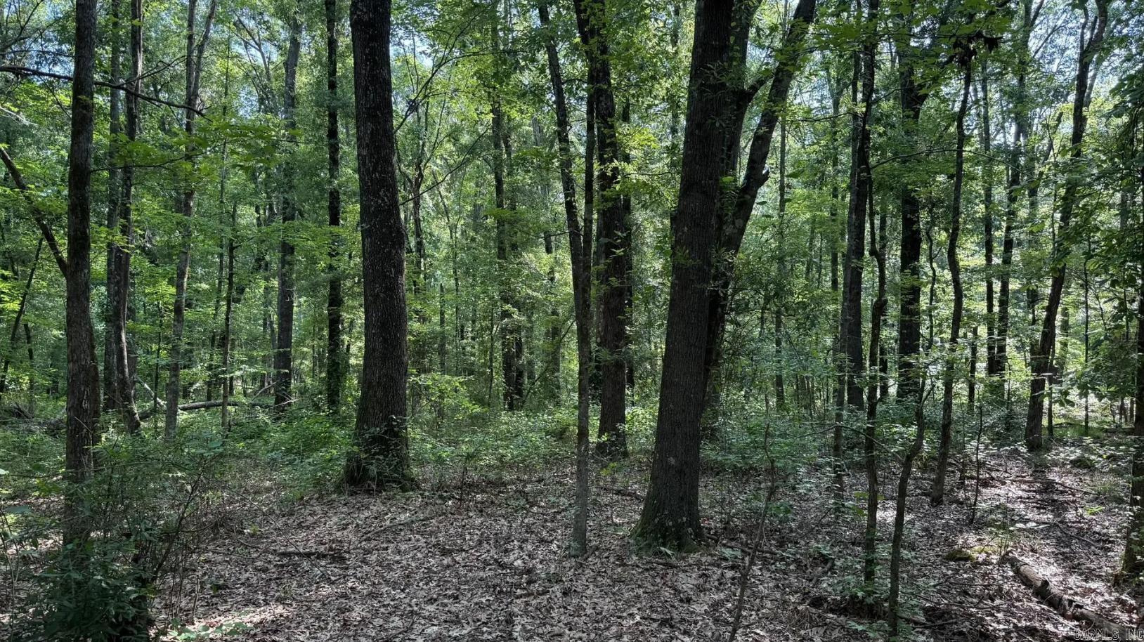 2212 Graham  Jacksonville, AR