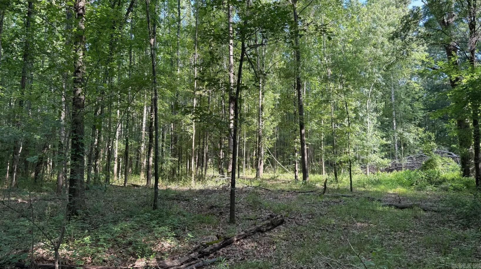 2212 Graham  Jacksonville, AR