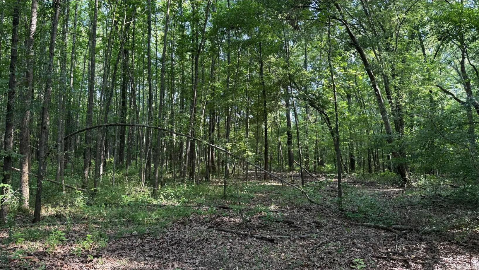 2212 Graham  Jacksonville, AR
