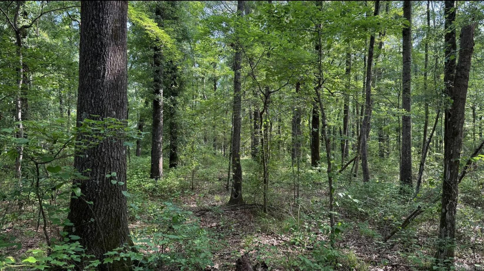 2212 Graham  Jacksonville, AR