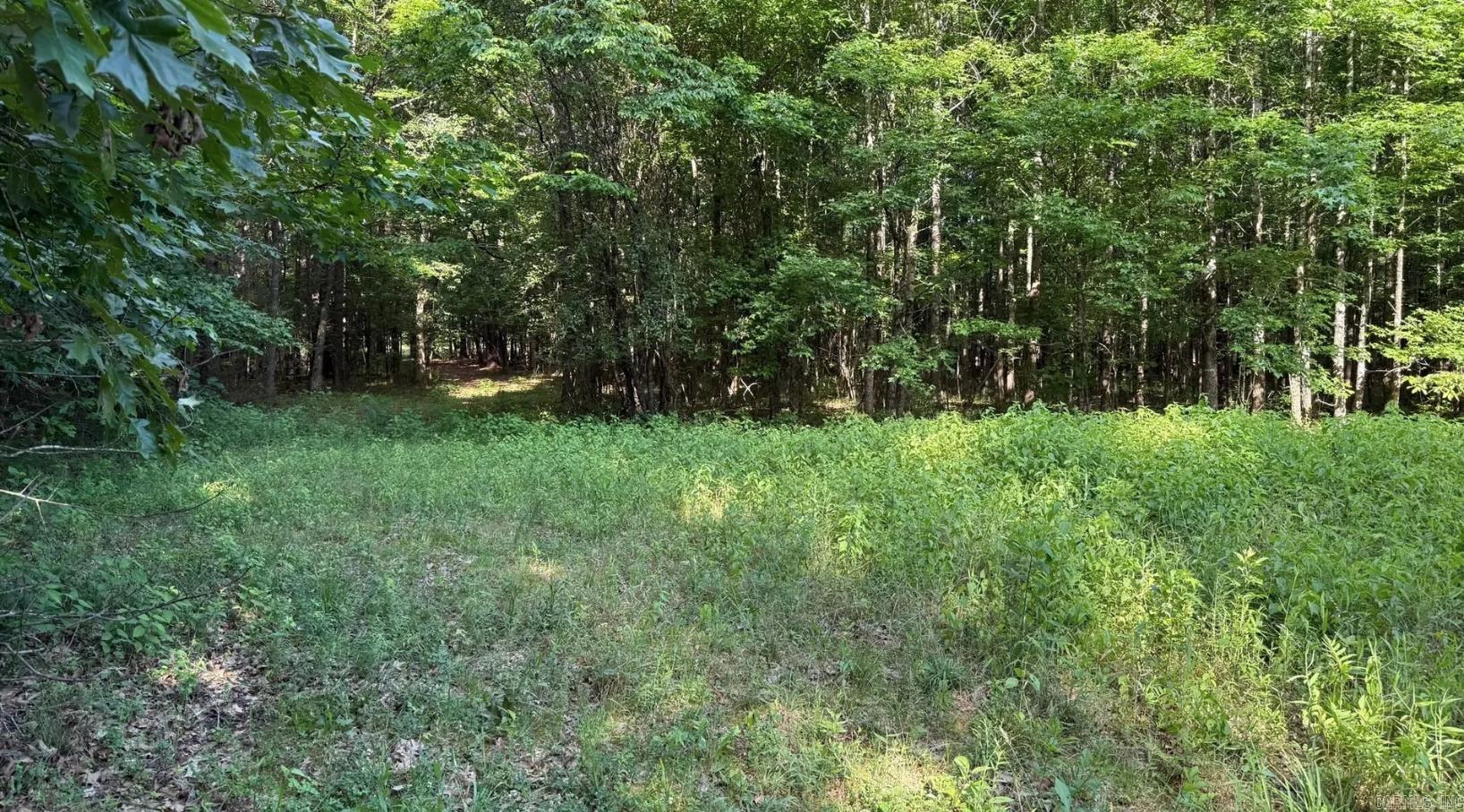 2212 Graham  Jacksonville, AR