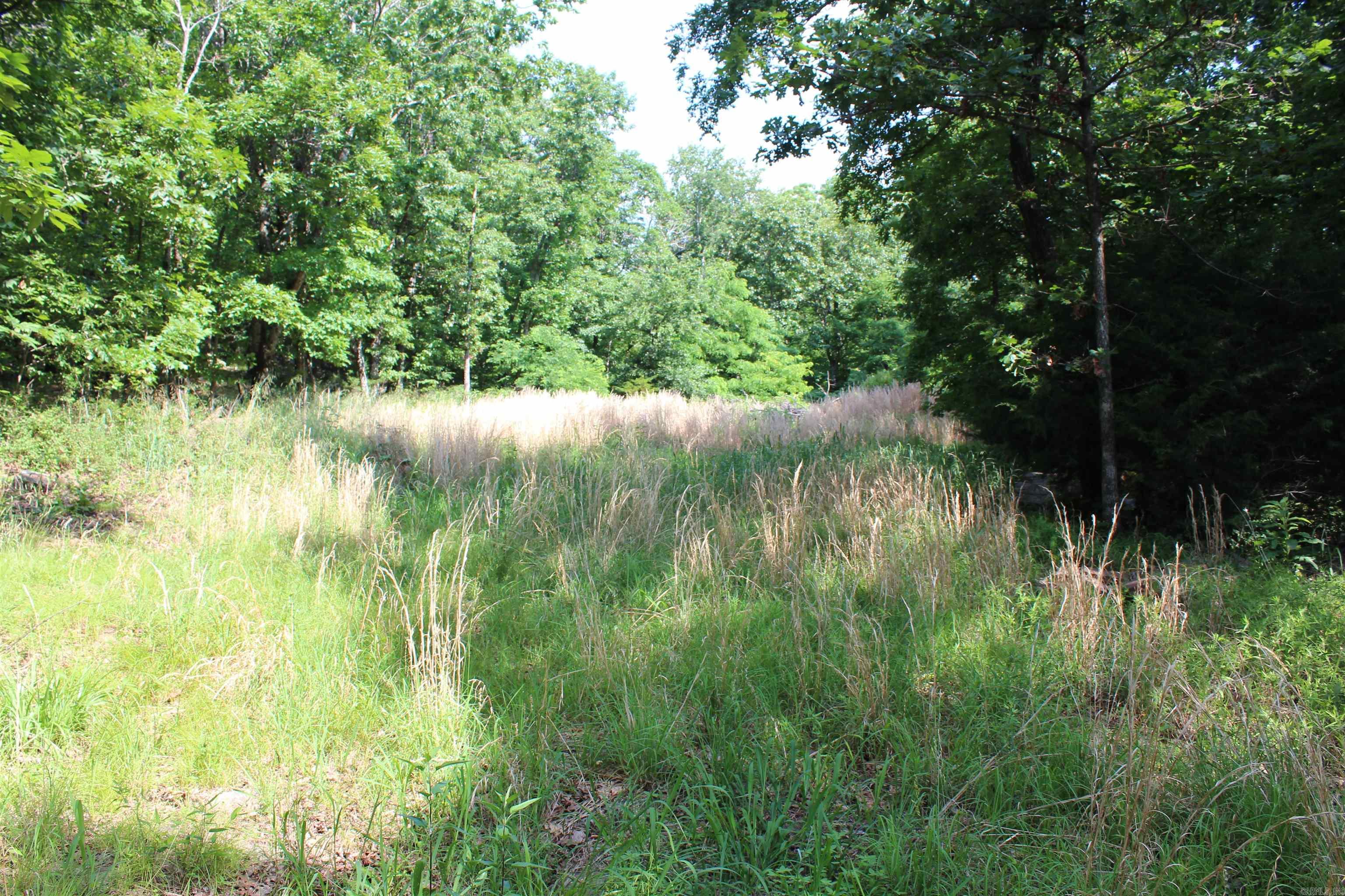 ooo Blue Mountain Rd  Prairie Grove, AR