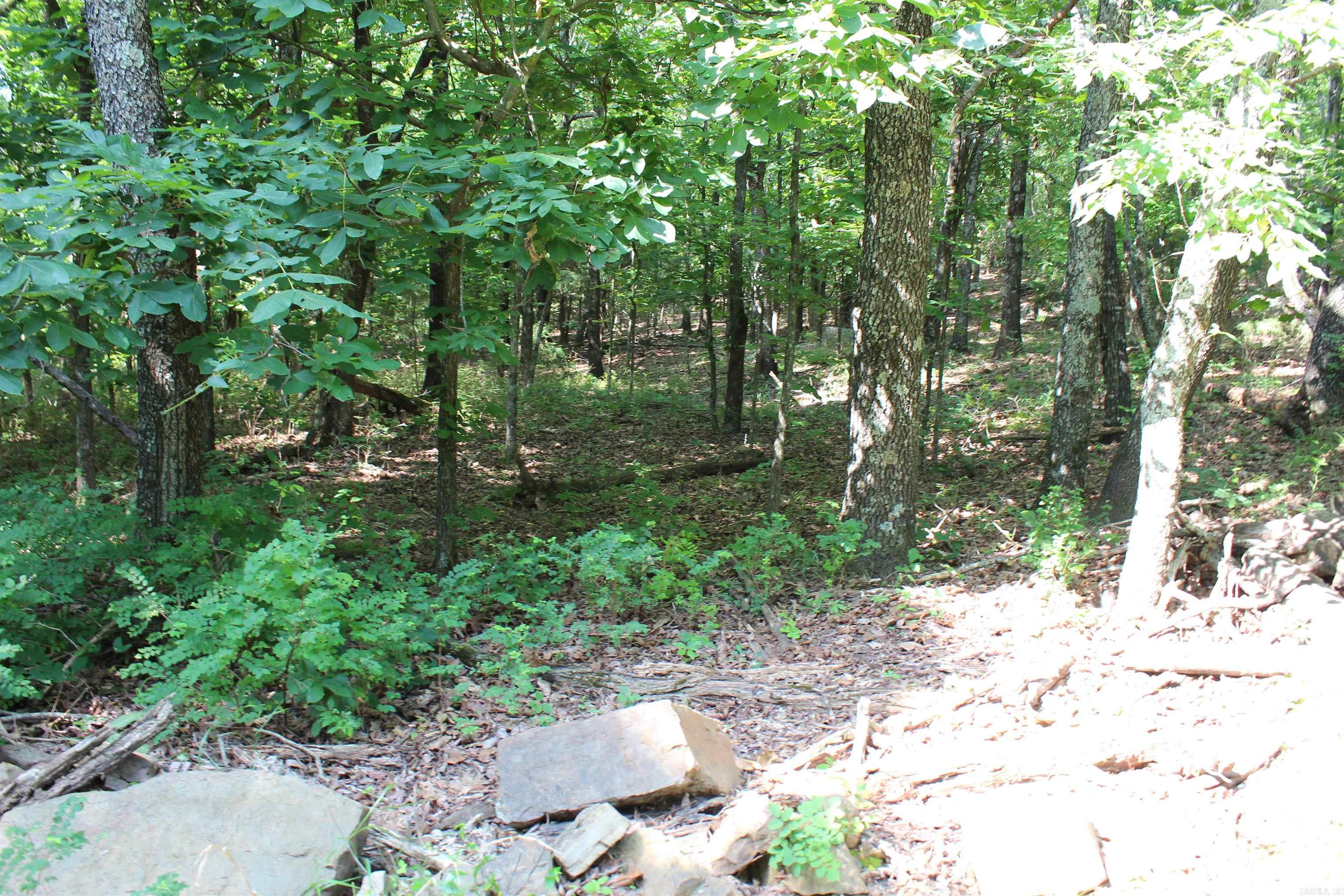 ooo Blue Mountain Rd  Prairie Grove, AR