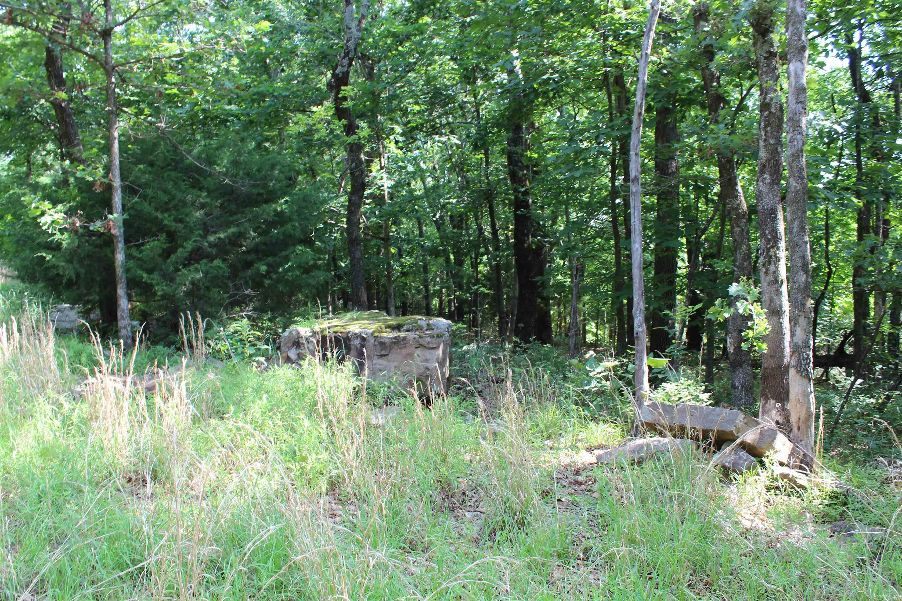 ooo Blue Mountain Rd  Prairie Grove, AR