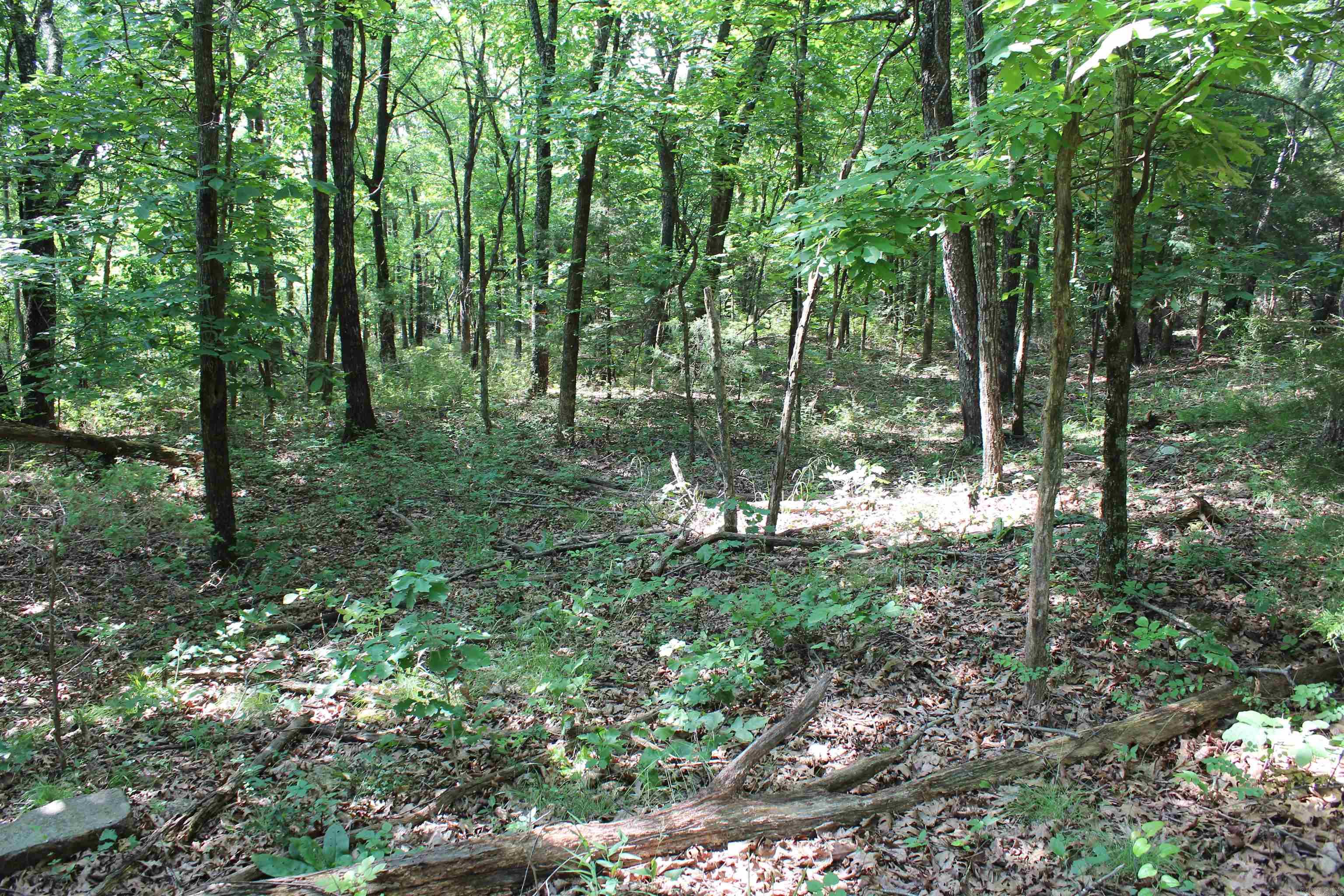ooo Blue Mountain Rd  Prairie Grove, AR