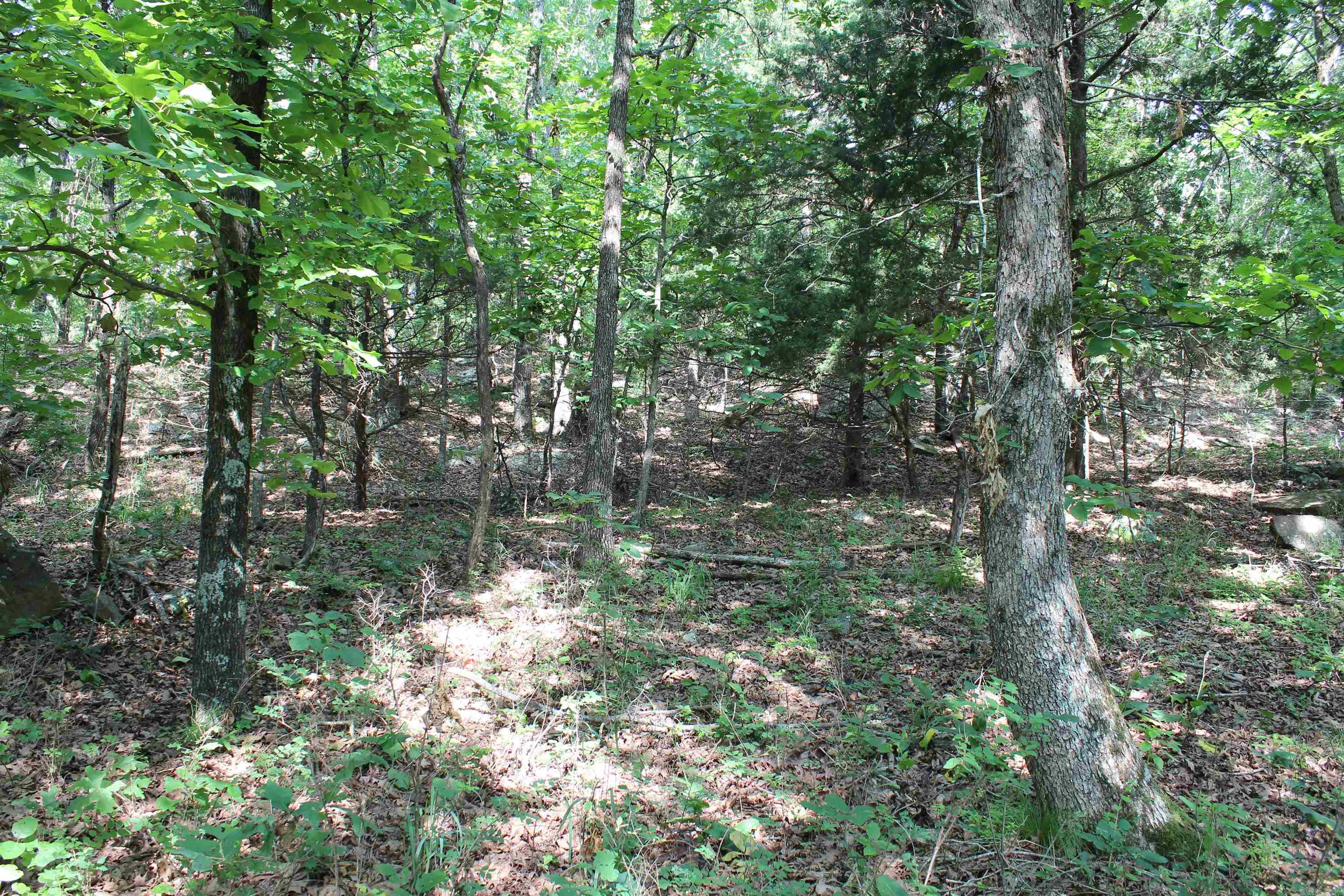 ooo Blue Mountain Rd  Prairie Grove, AR
