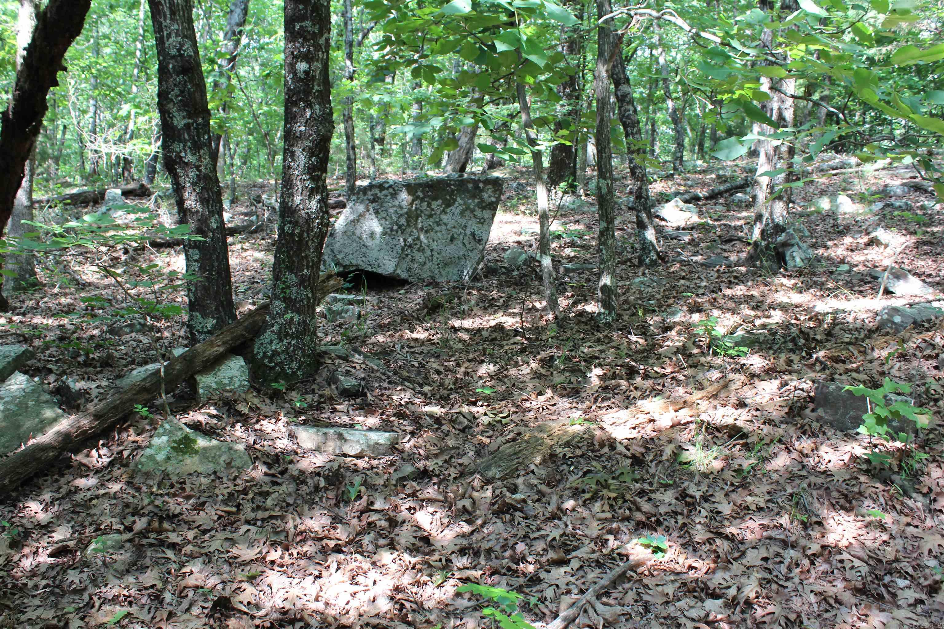 ooo Blue Mountain Rd  Prairie Grove, AR