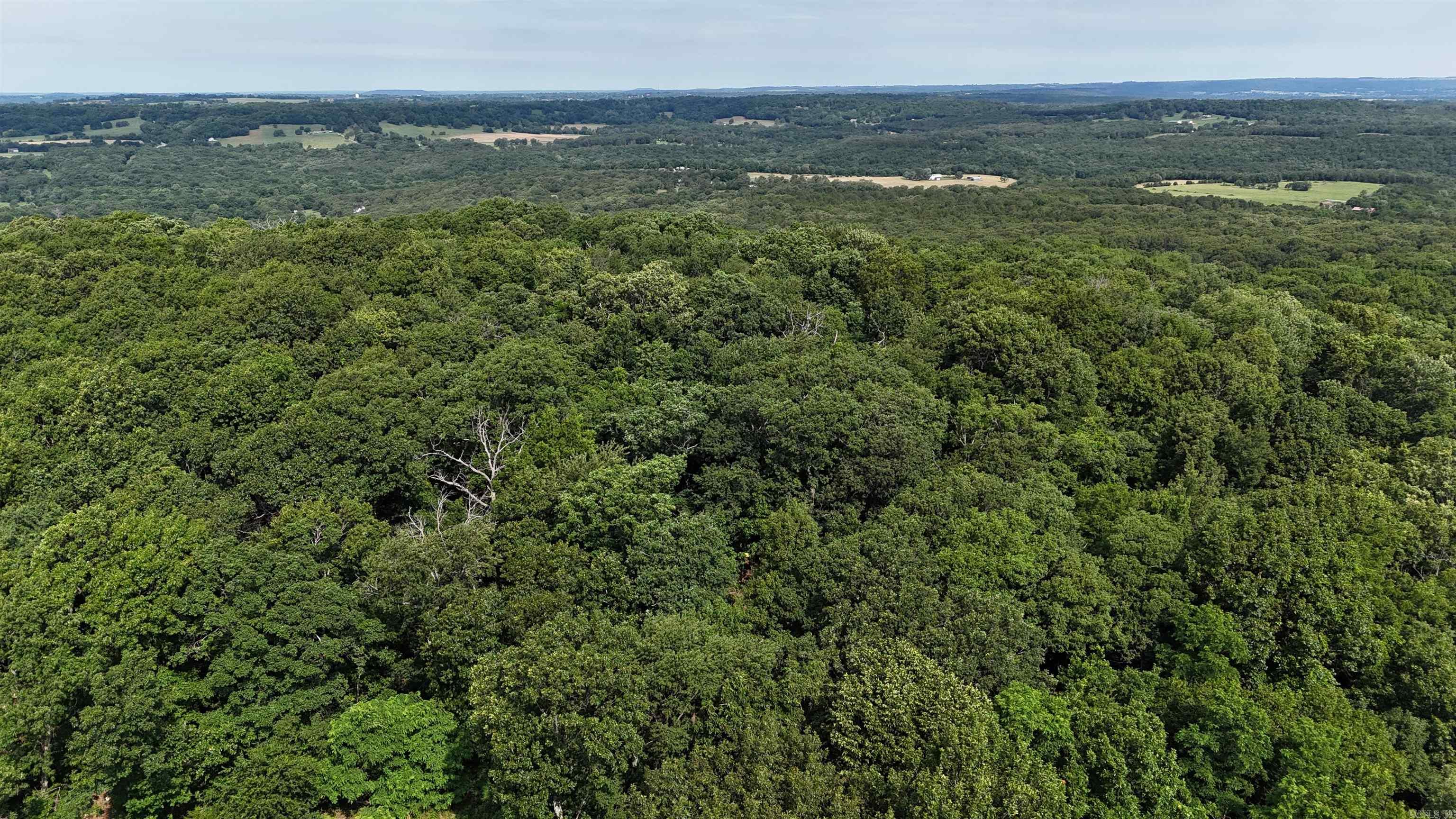 ooo Blue Mountain Rd  Prairie Grove, AR