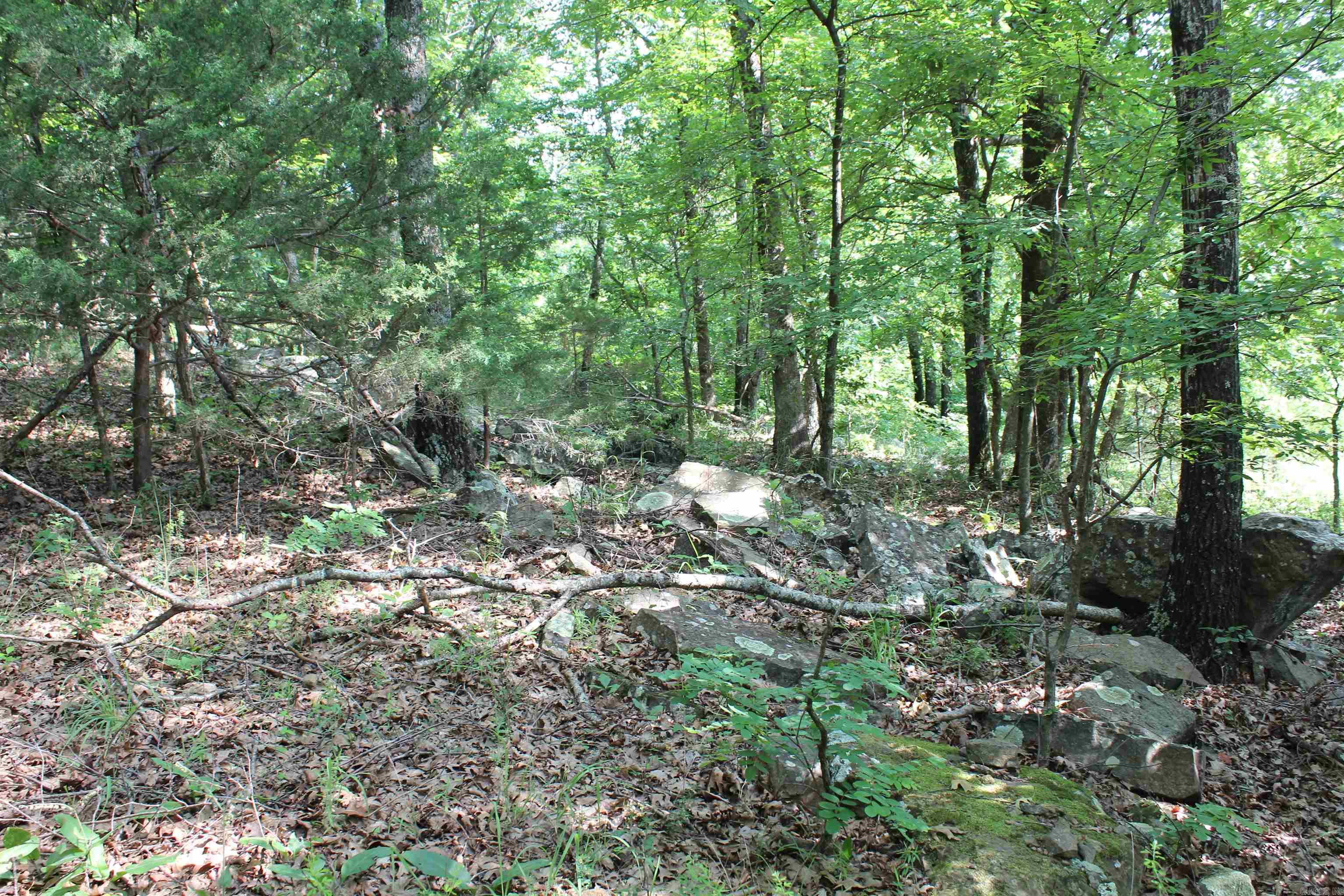 ooo Blue Mountain Rd  Prairie Grove, AR