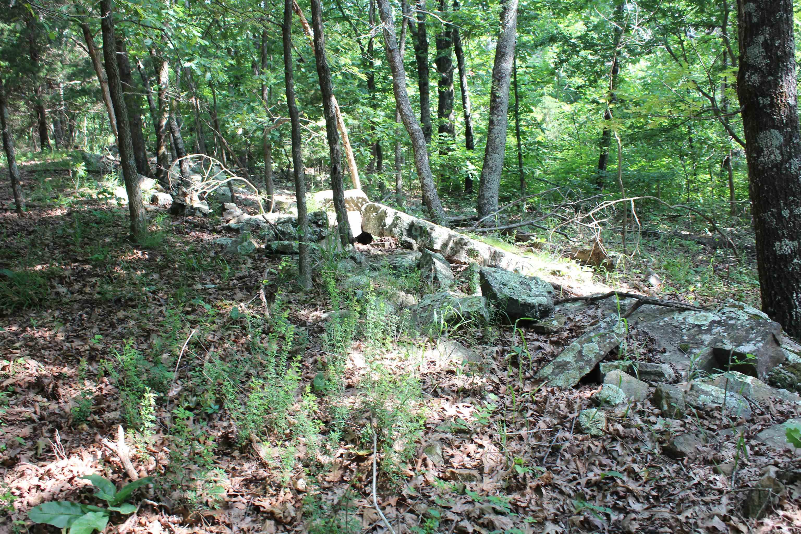 ooo Blue Mountain Rd  Prairie Grove, AR
