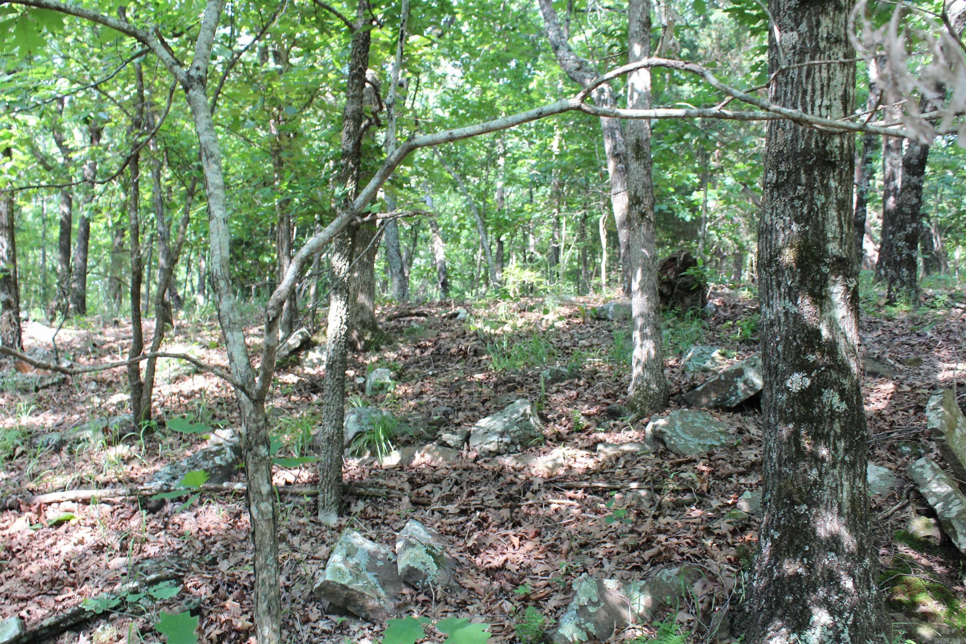 ooo Blue Mountain Rd  Prairie Grove, AR