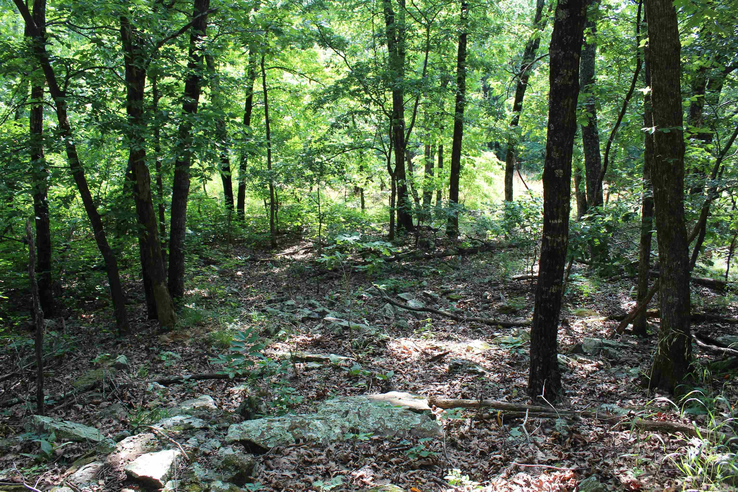 ooo Blue Mountain Rd  Prairie Grove, AR