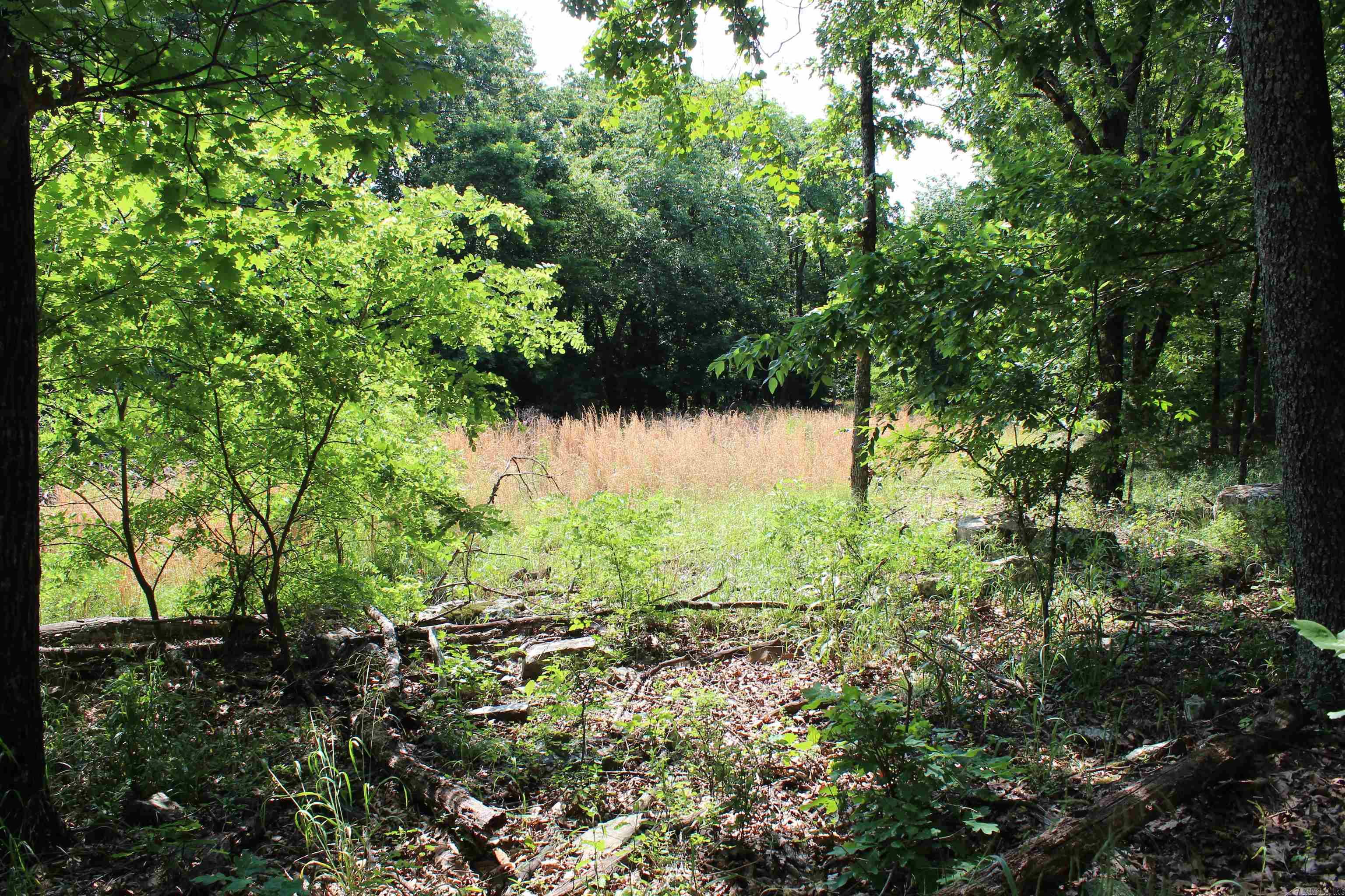 ooo Blue Mountain Rd  Prairie Grove, AR